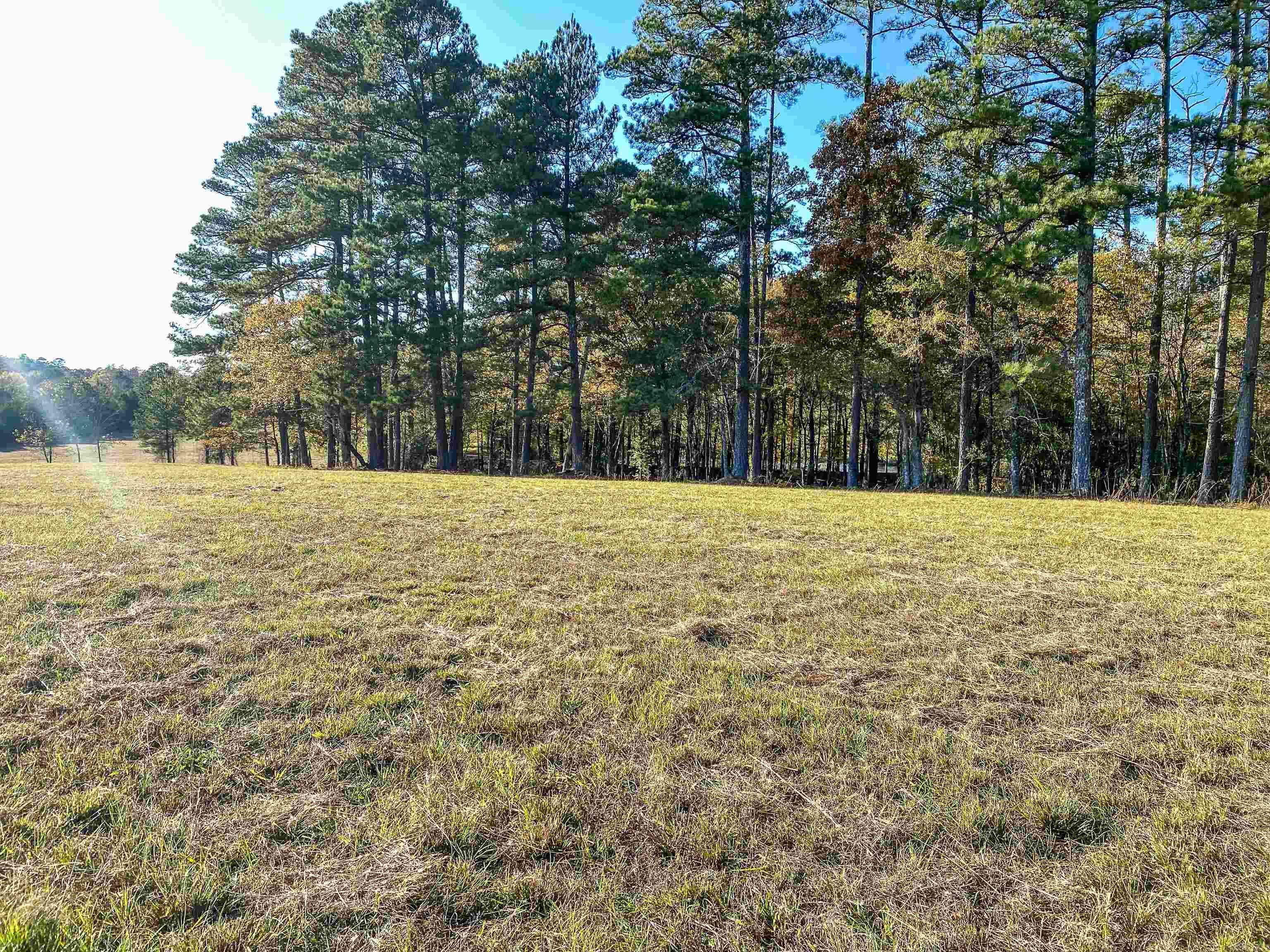 3109 Sunshine Tract A Royal, AR