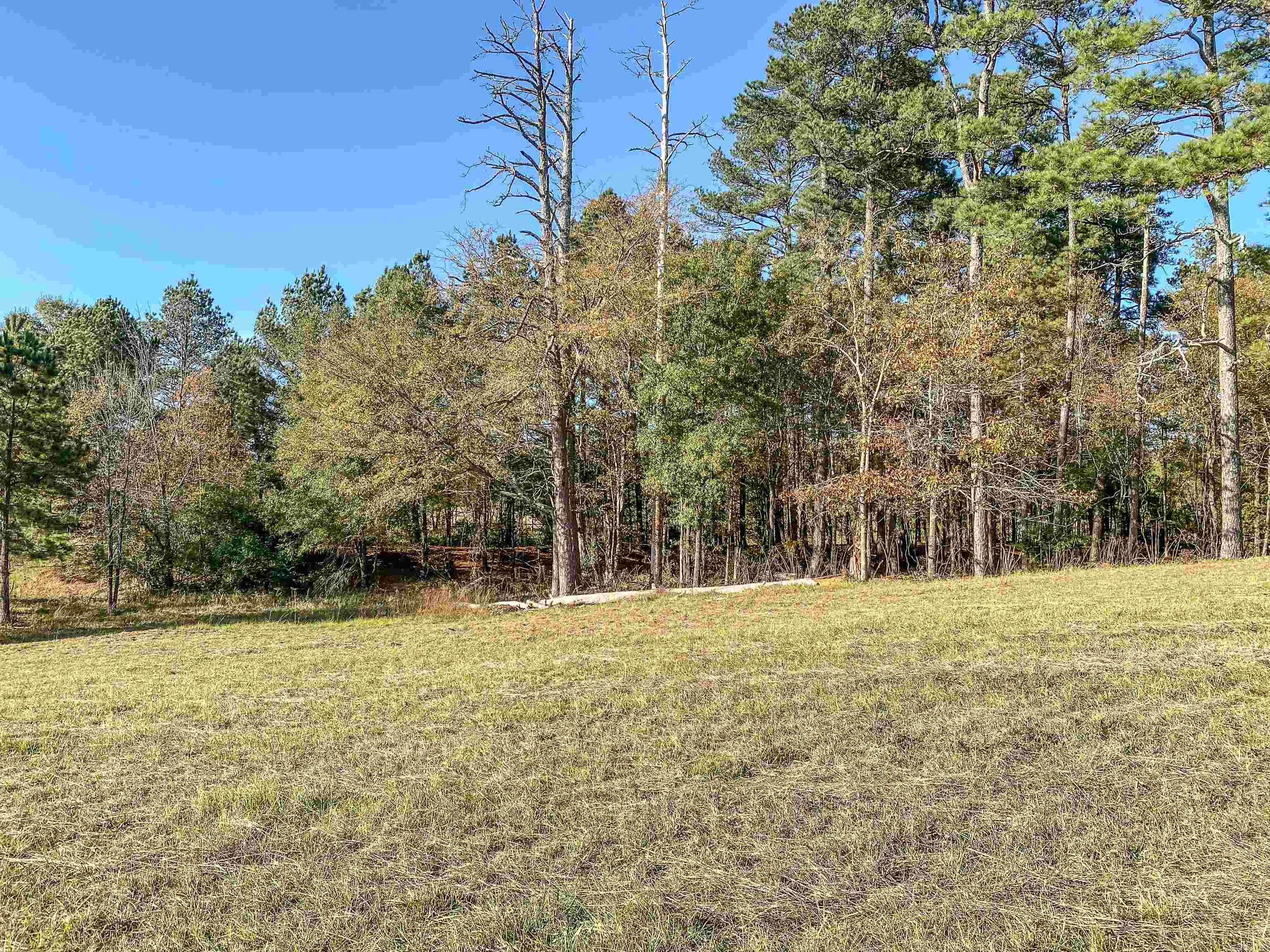 3109 Sunshine Tract C Royal, AR