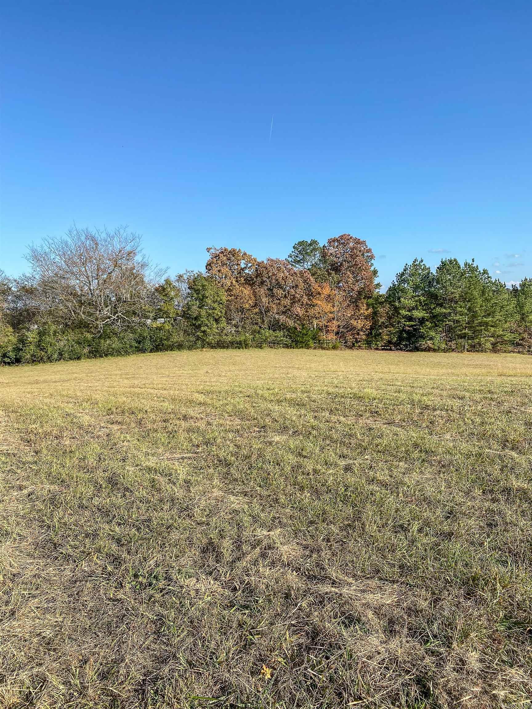 3109 Sunshine Tract C Royal, AR