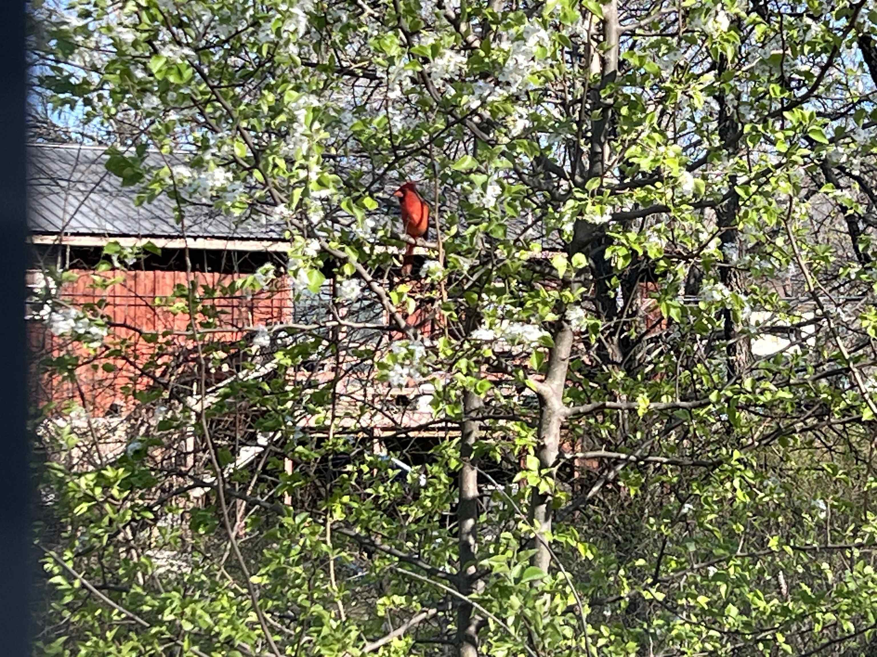 410 Downey  Mountain View, AR