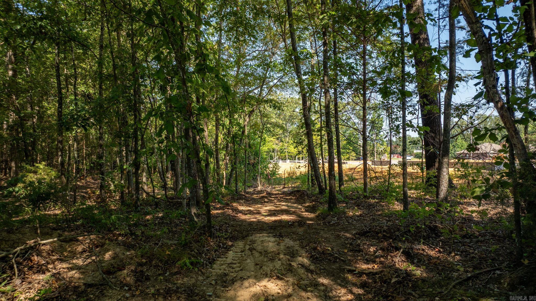 17 & 21 Snowden Circle  Greenbrier, AR