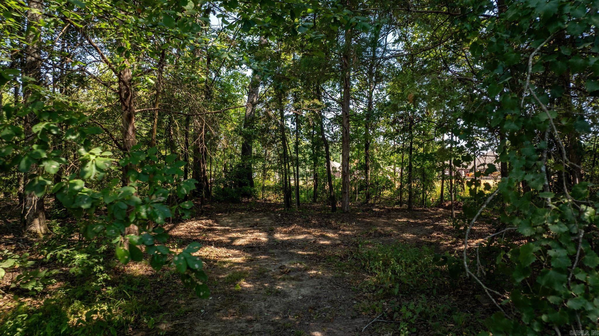 17 & 21 Snowden Circle  Greenbrier, AR