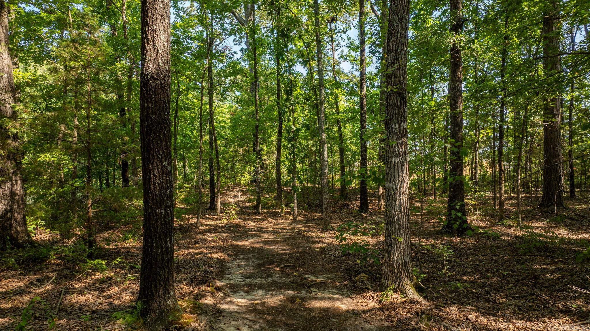 17 & 21 Snowden Circle  Greenbrier, AR