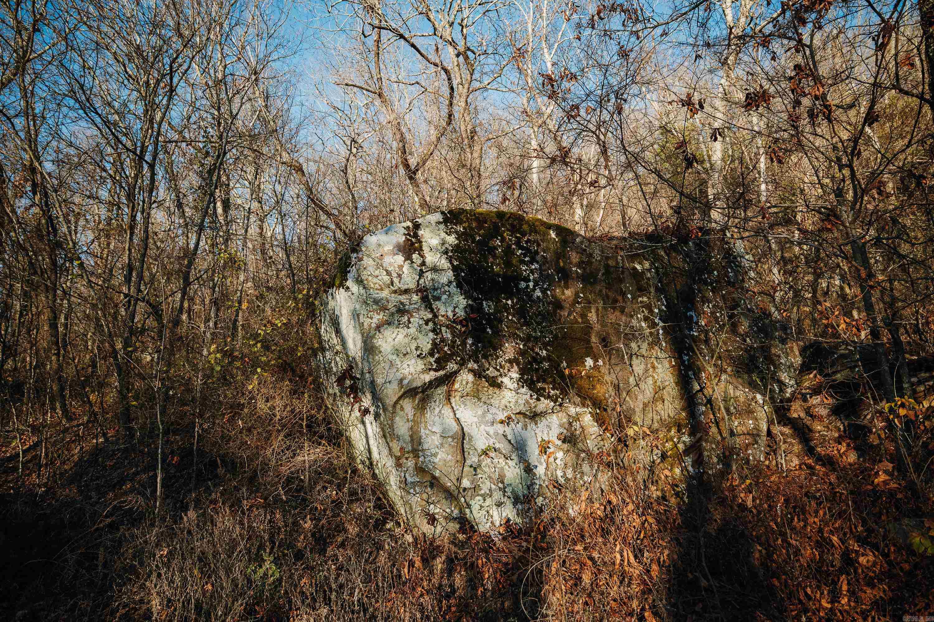 1645 Prism Dr  Leslie, AR