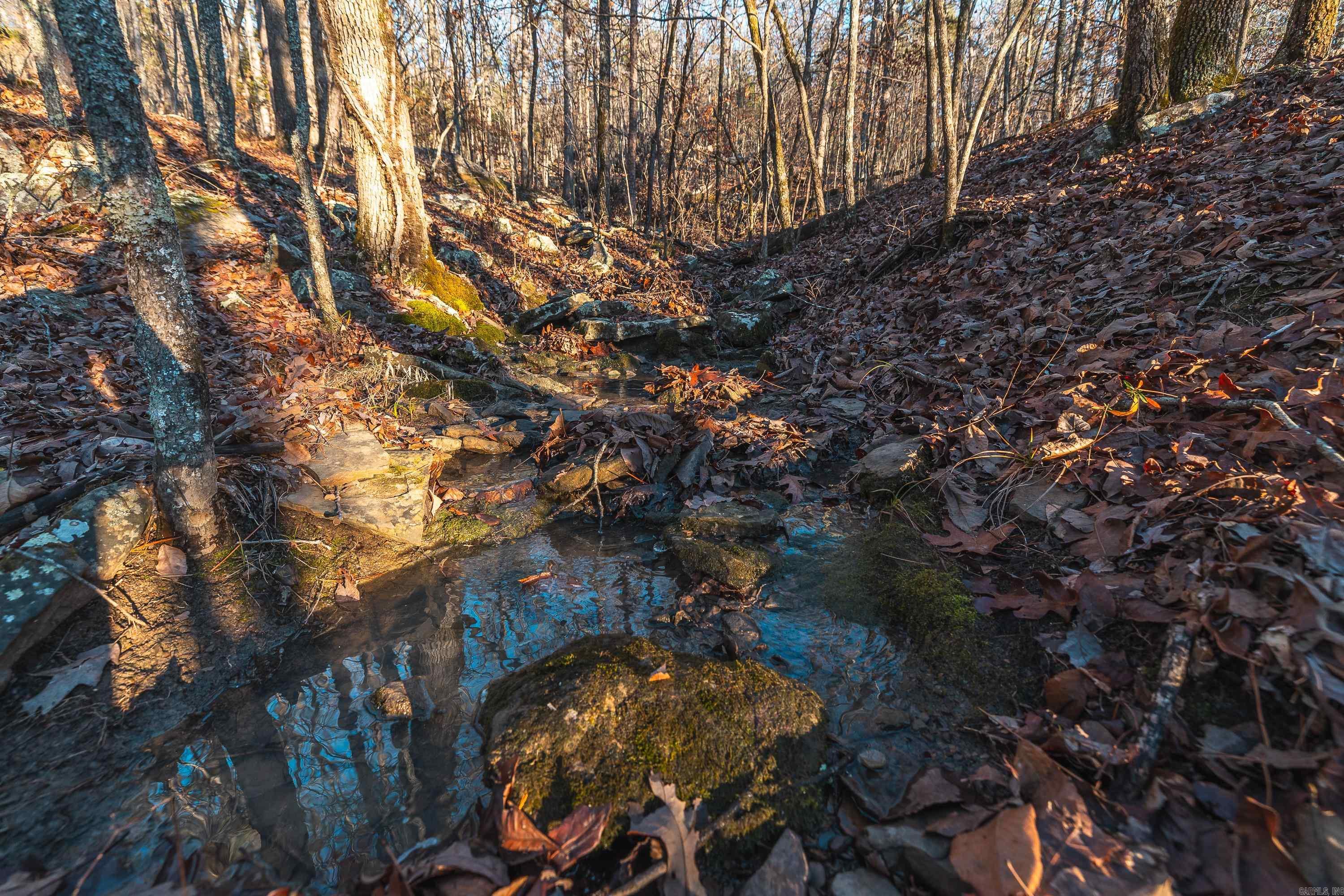 1645 Prism Dr  Leslie, AR