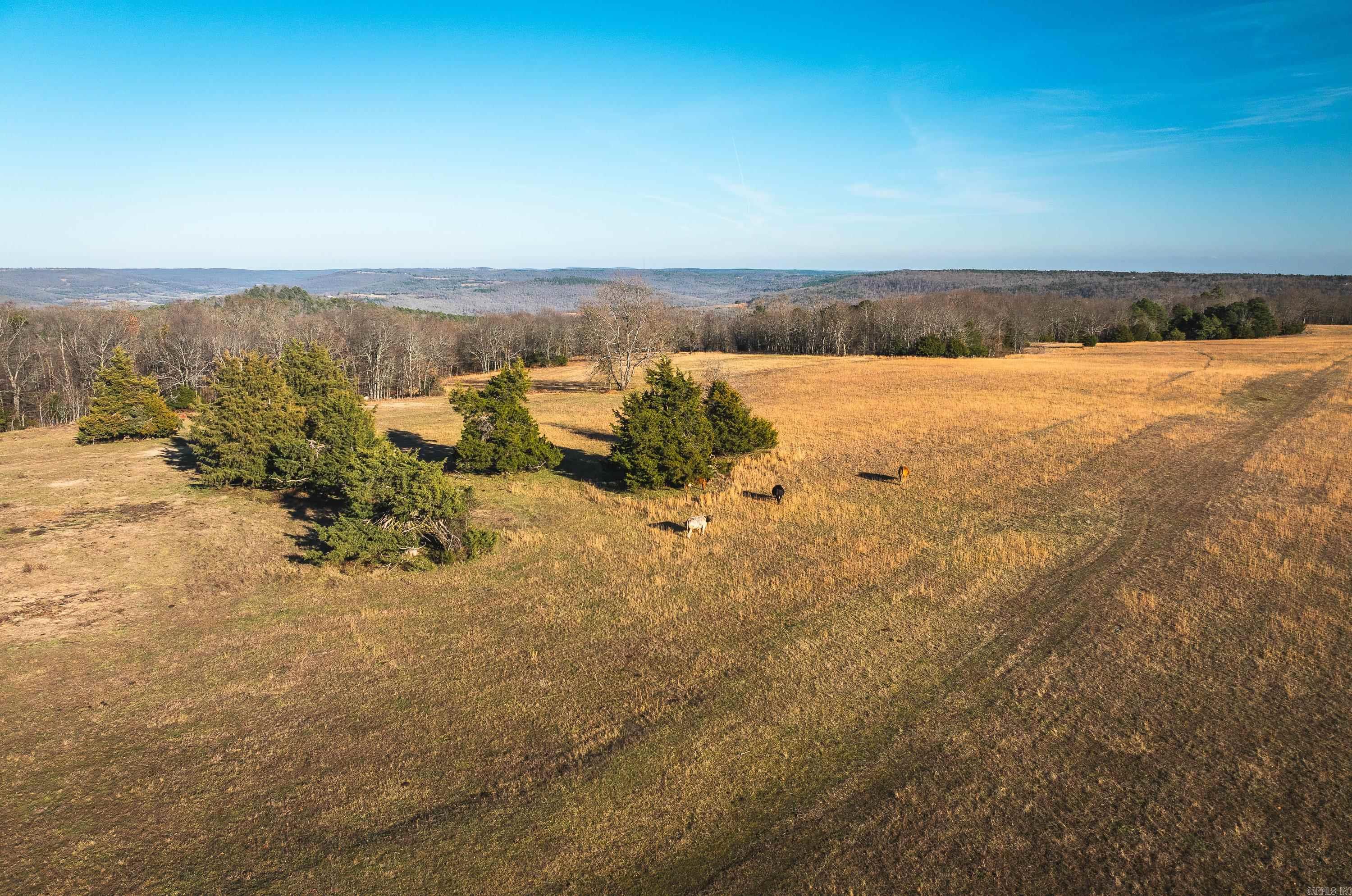 1645 Prism Dr  Leslie, AR