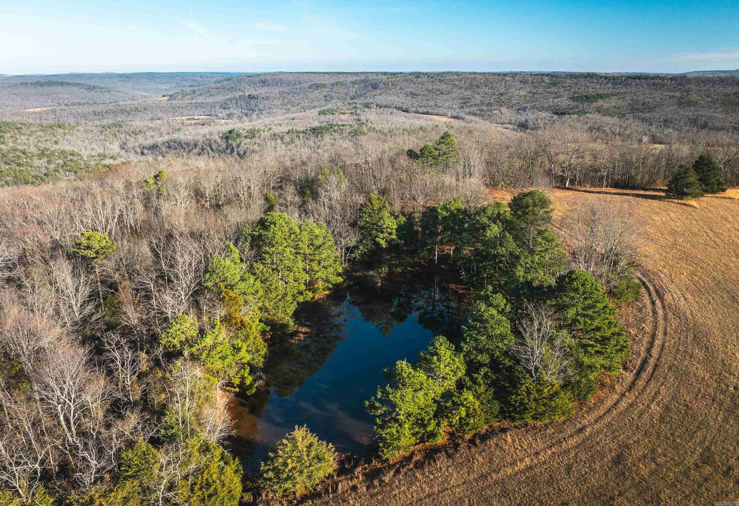 1645 Prism Dr  Leslie, AR