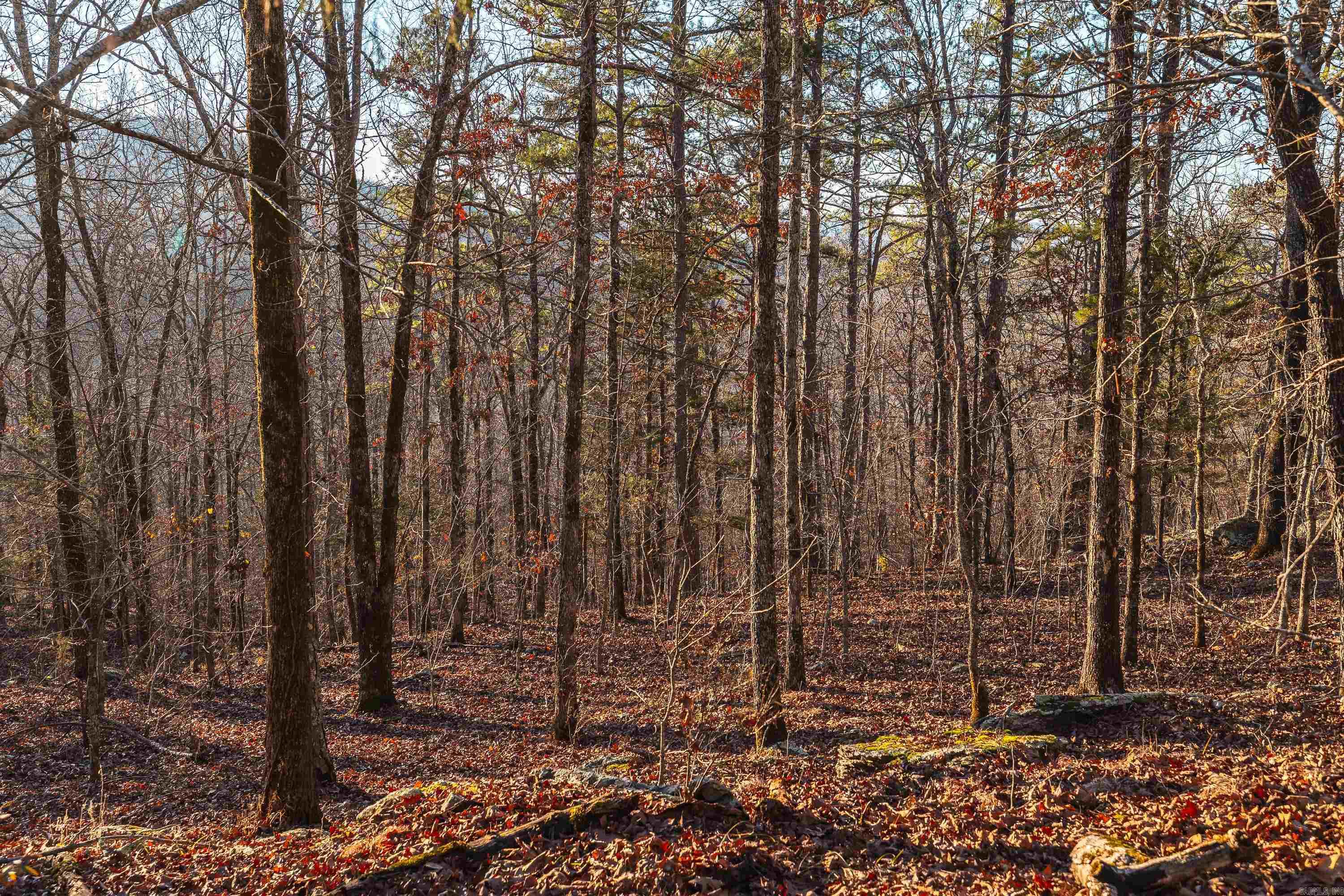 1645 Prism Dr  Leslie, AR