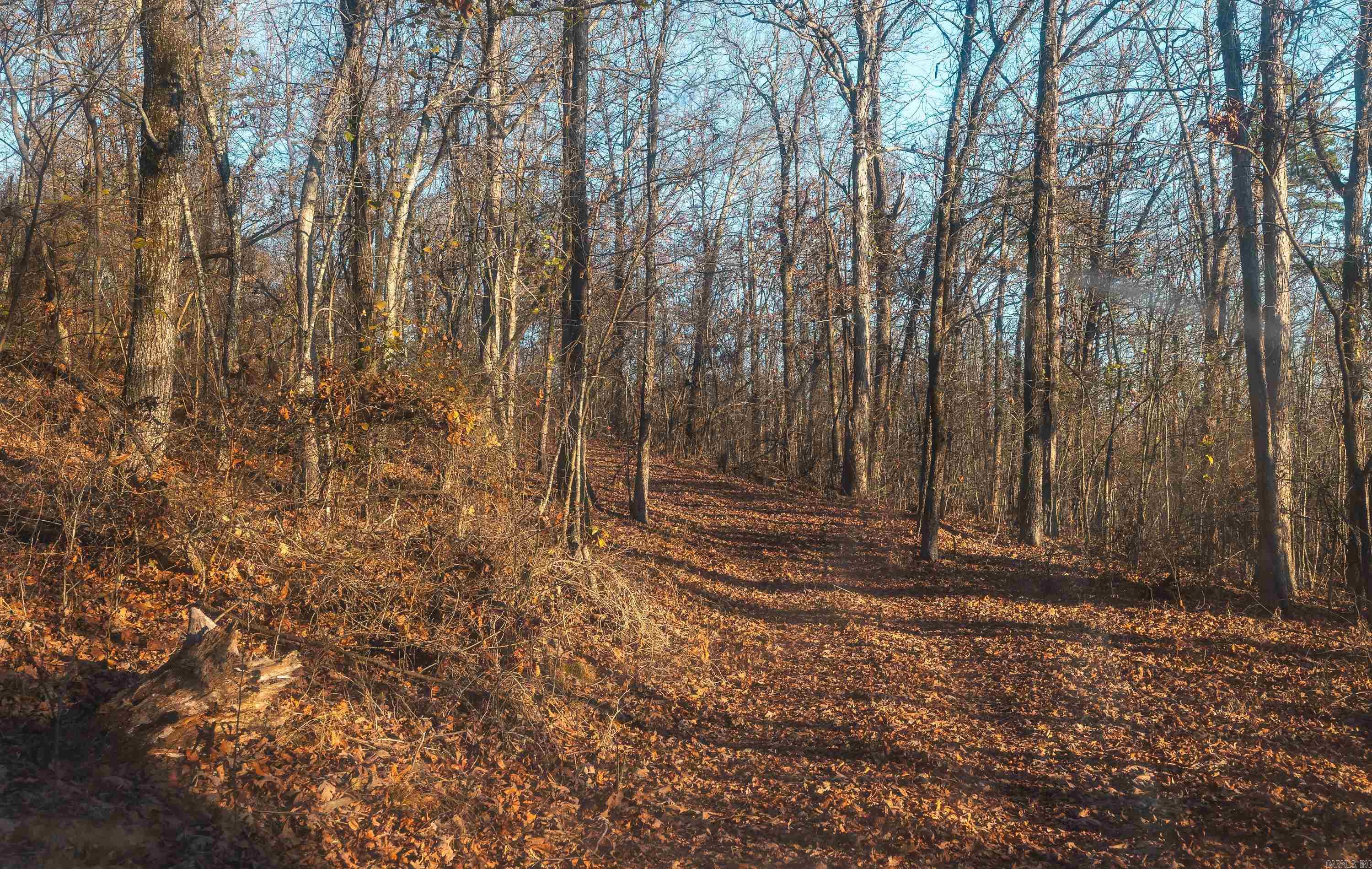 1645 Prism Dr  Leslie, AR