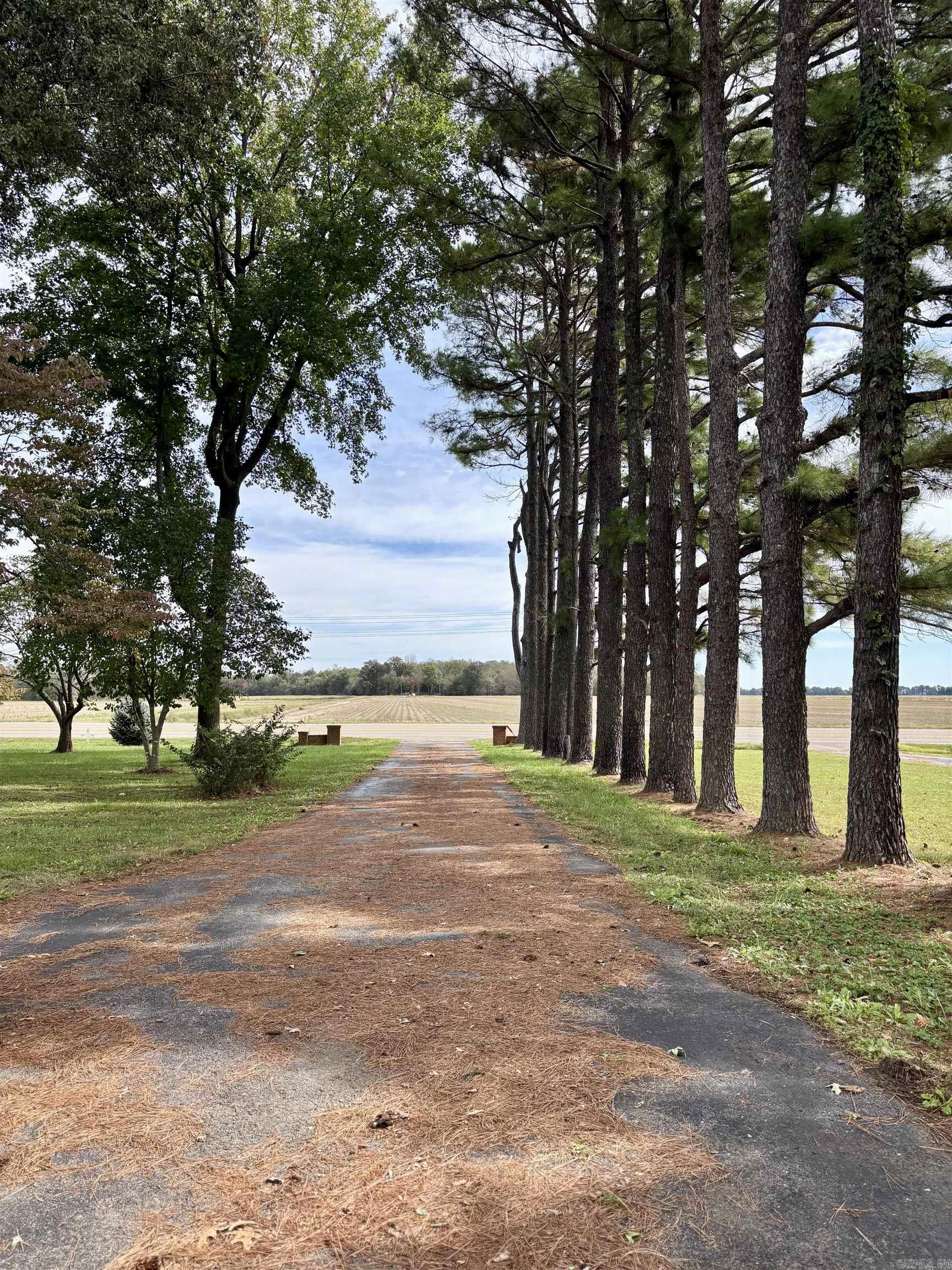 3399 Hwy 135  Corning, AR