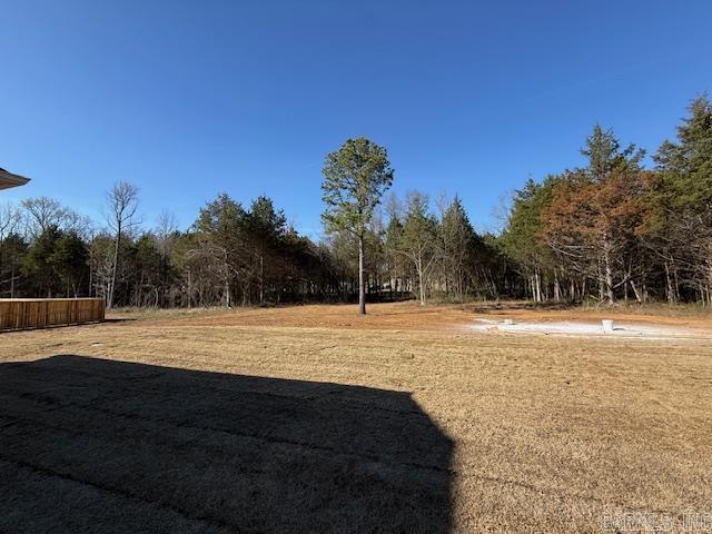 53 Ules Watson Drive Greenbrier, AR 72058