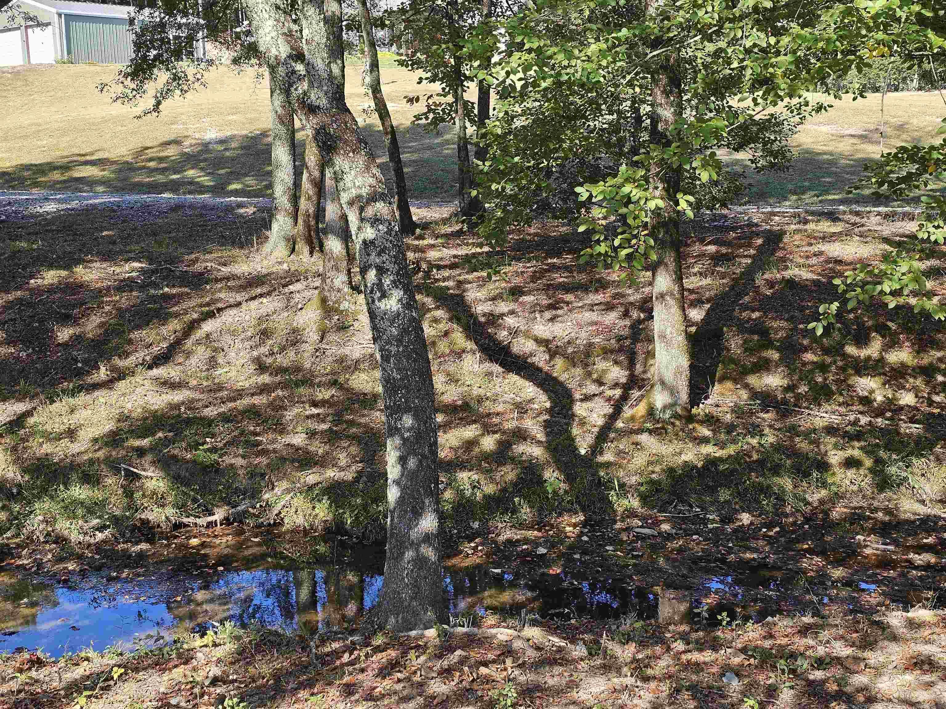  Confidential  Mena, AR