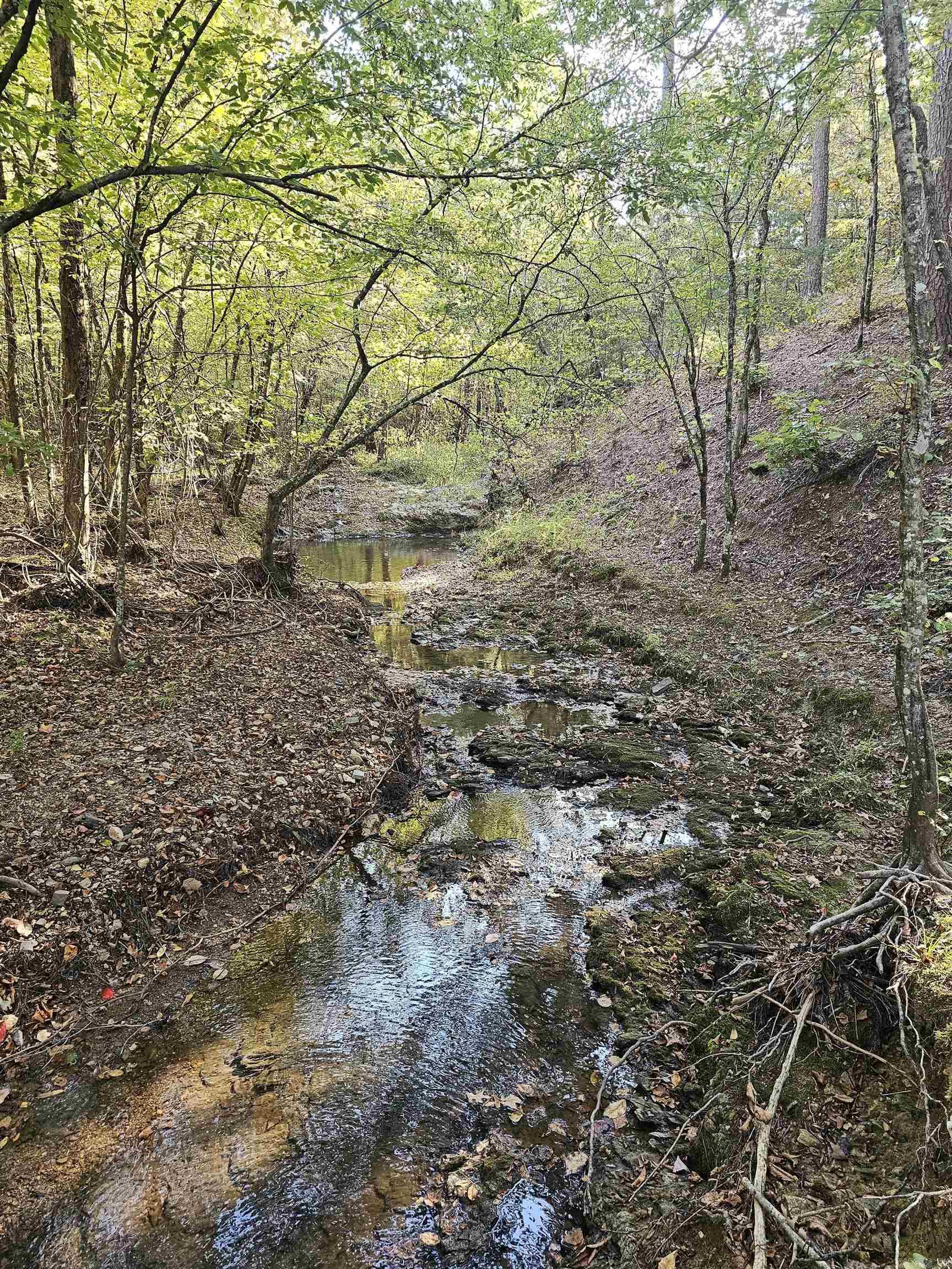  Confidential  Mena, AR