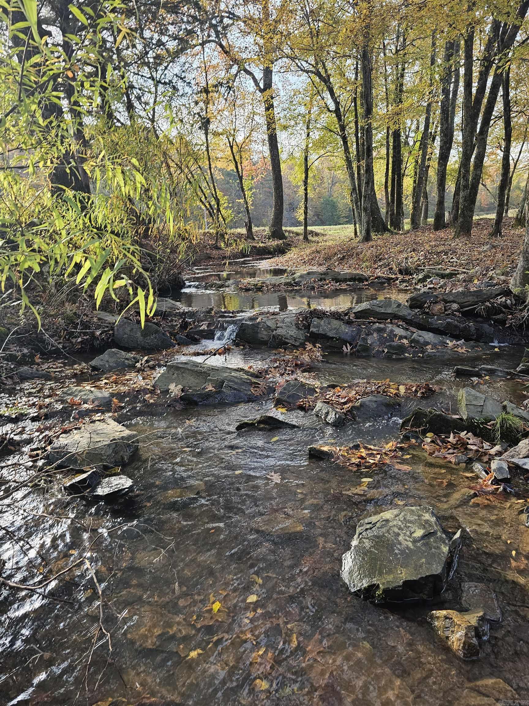  Confidential  Mena, AR