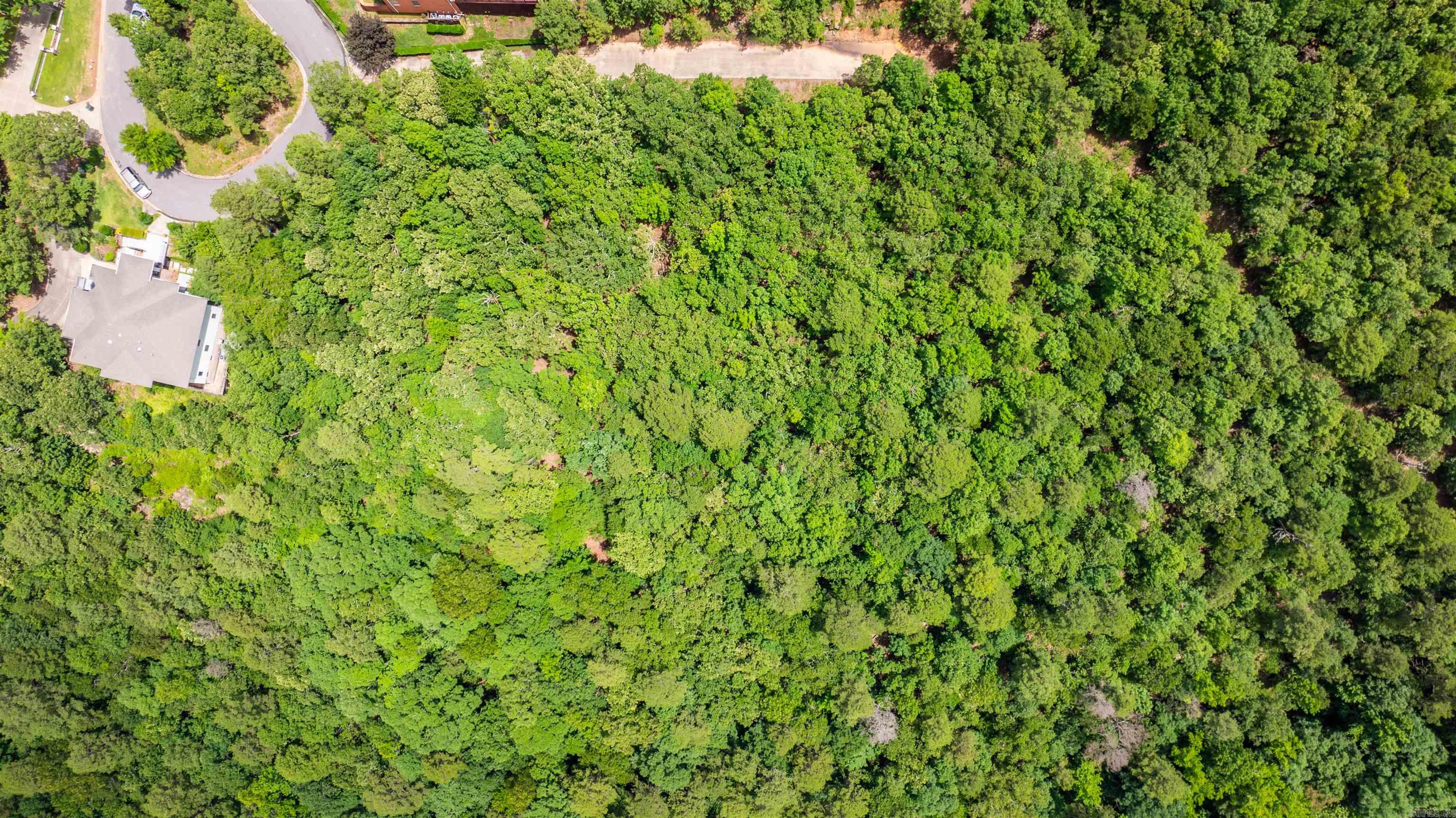 11 Vantage  Little Rock, AR