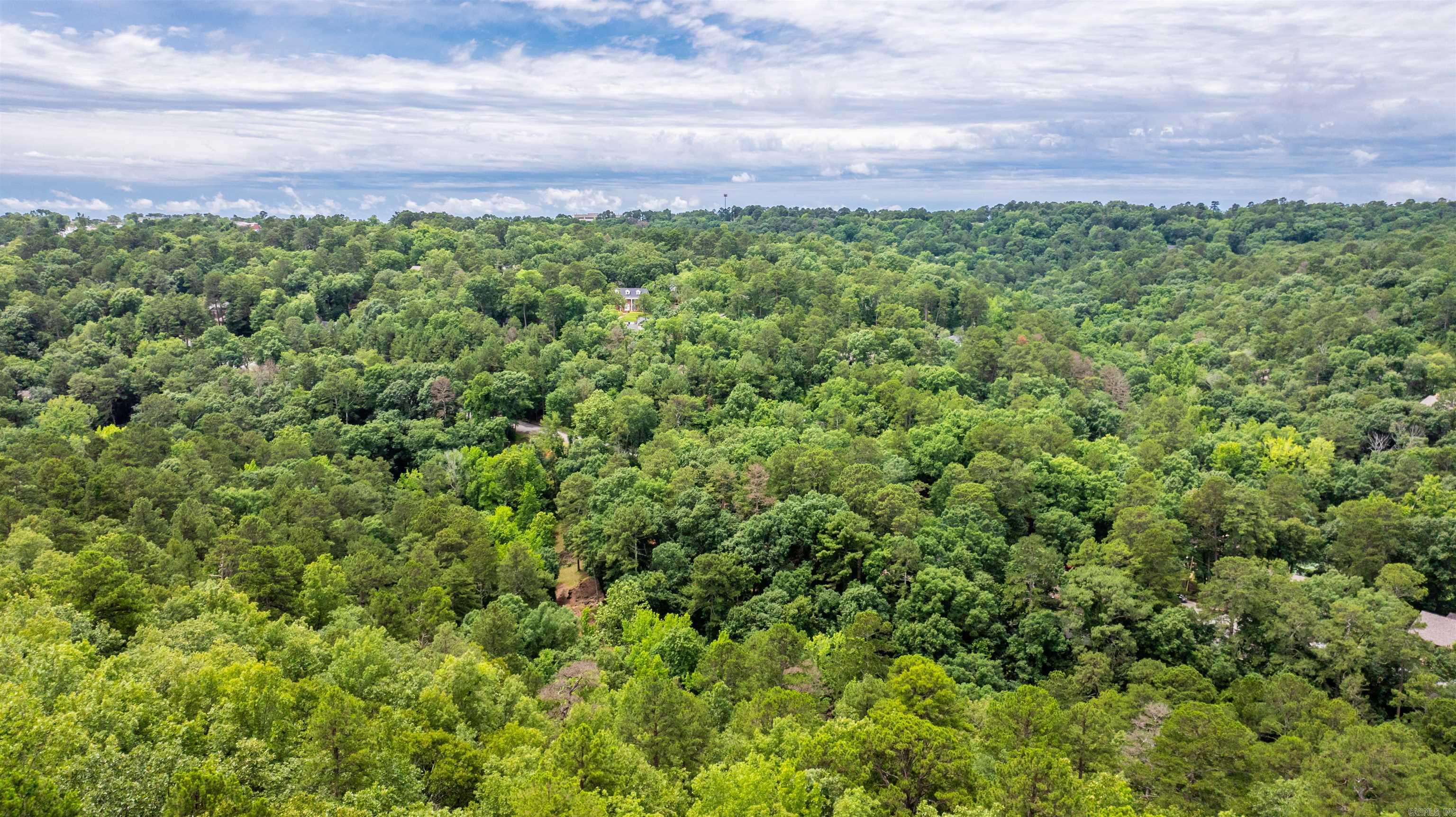 11 Vantage  Little Rock, AR