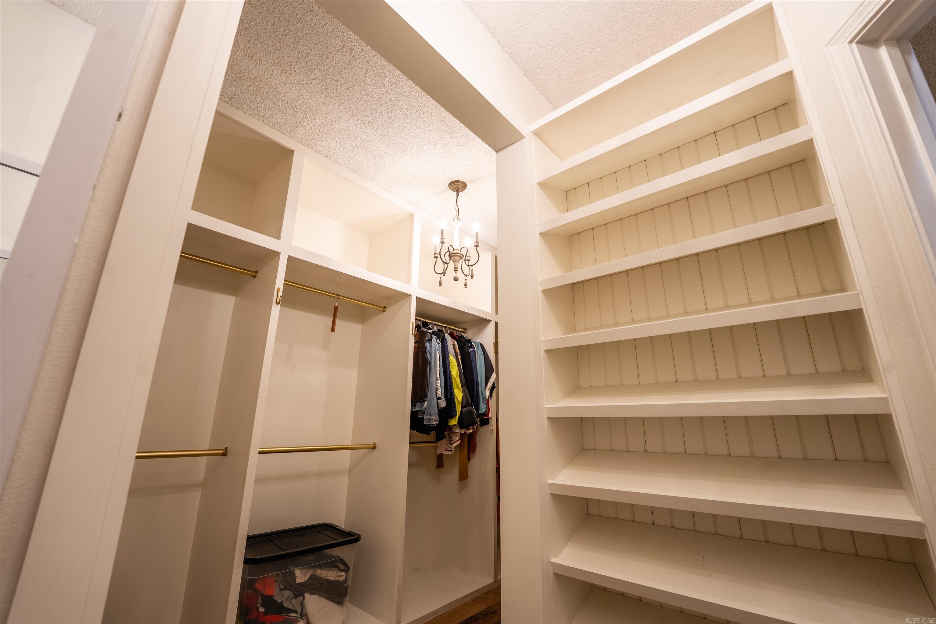 44 Bald Eagle  Paron, AR