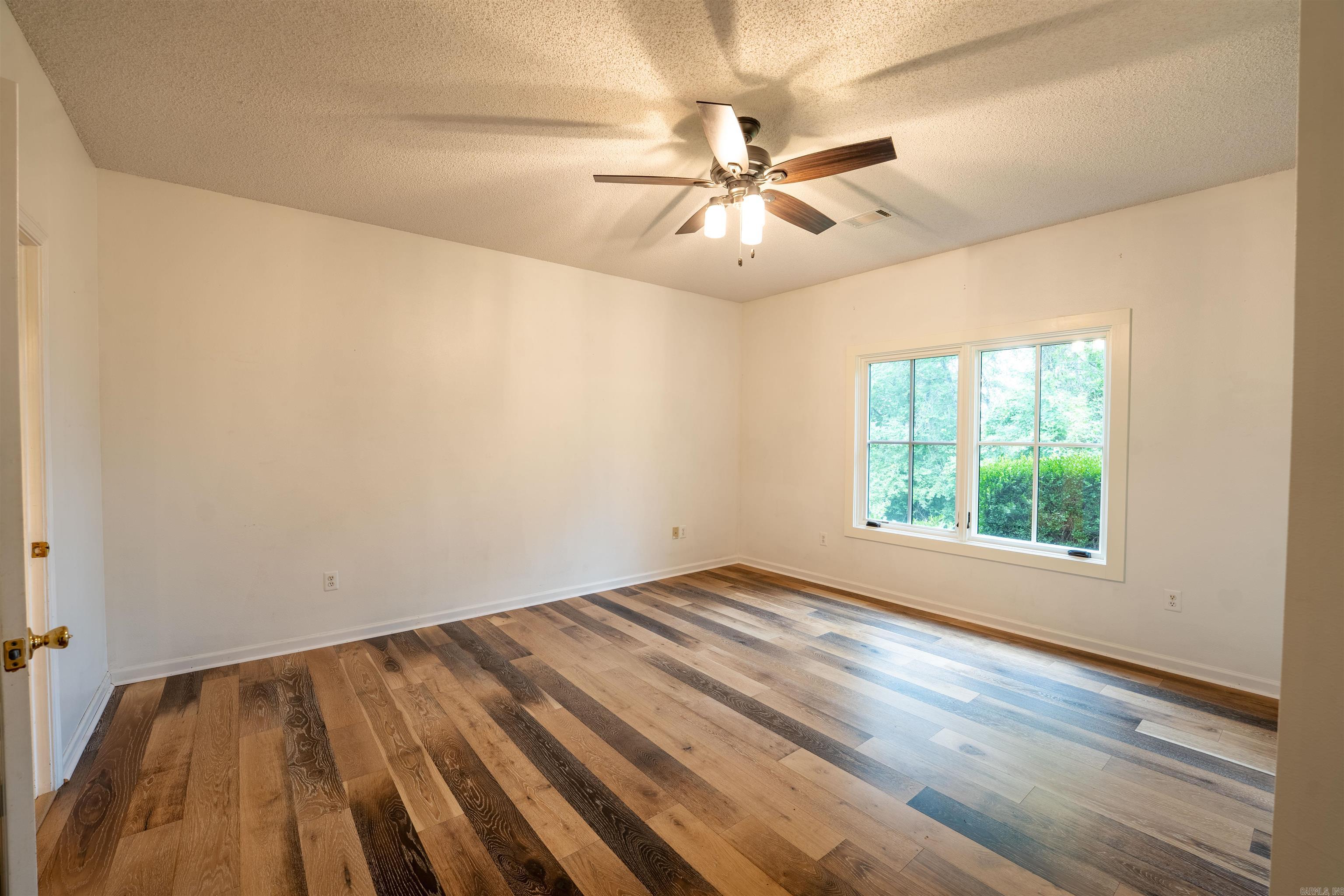 44 Bald Eagle  Paron, AR