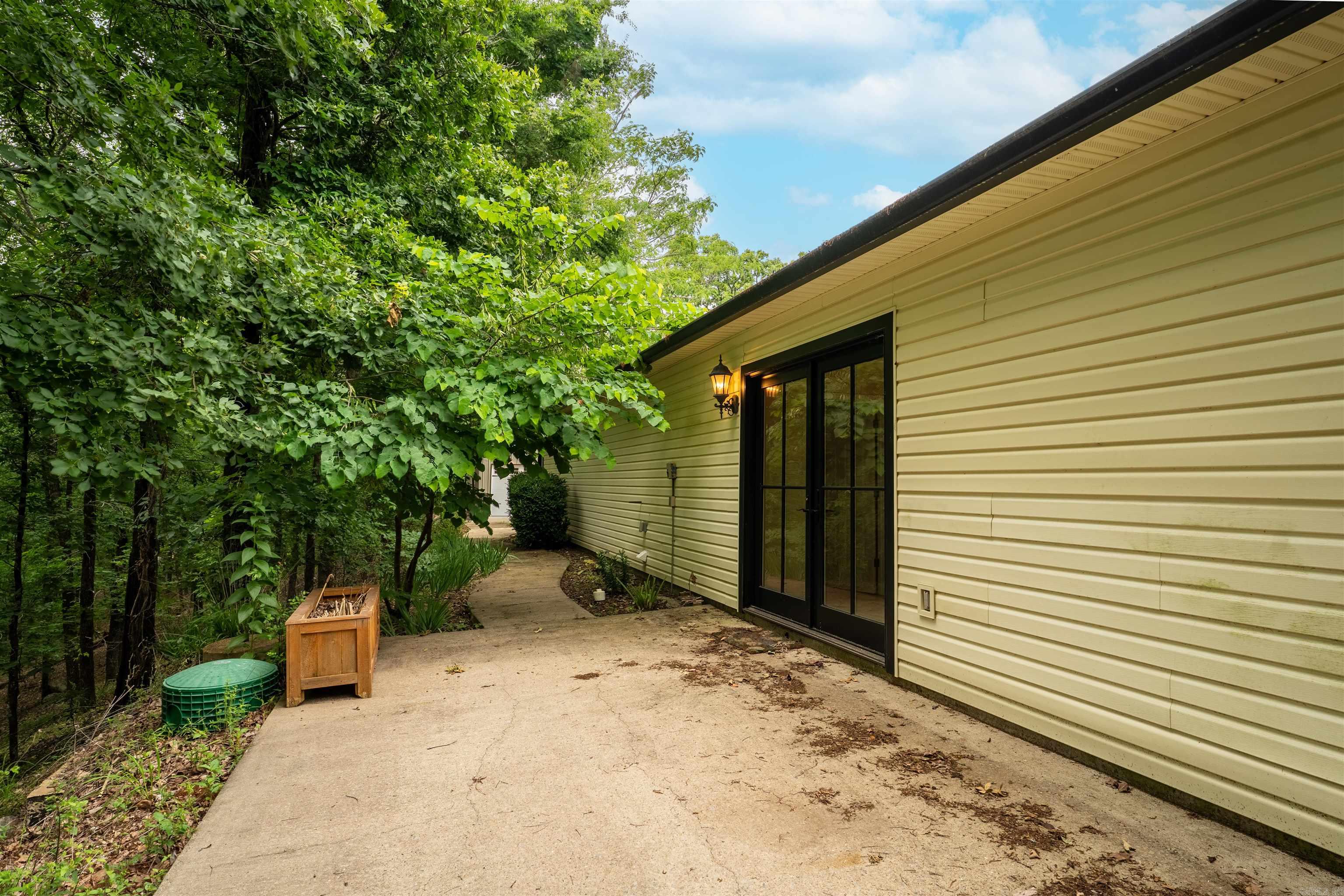 44 Bald Eagle  Paron, AR