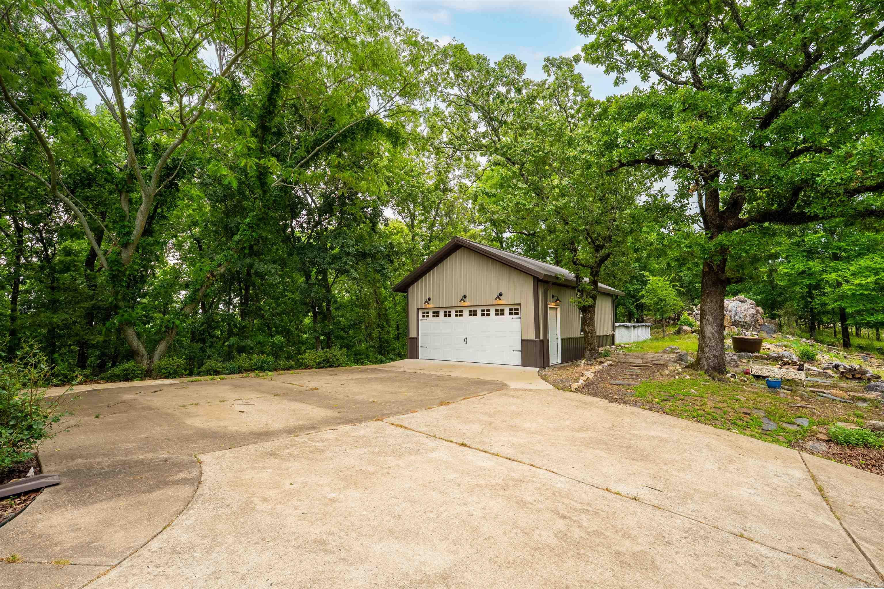 44 Bald Eagle  Paron, AR