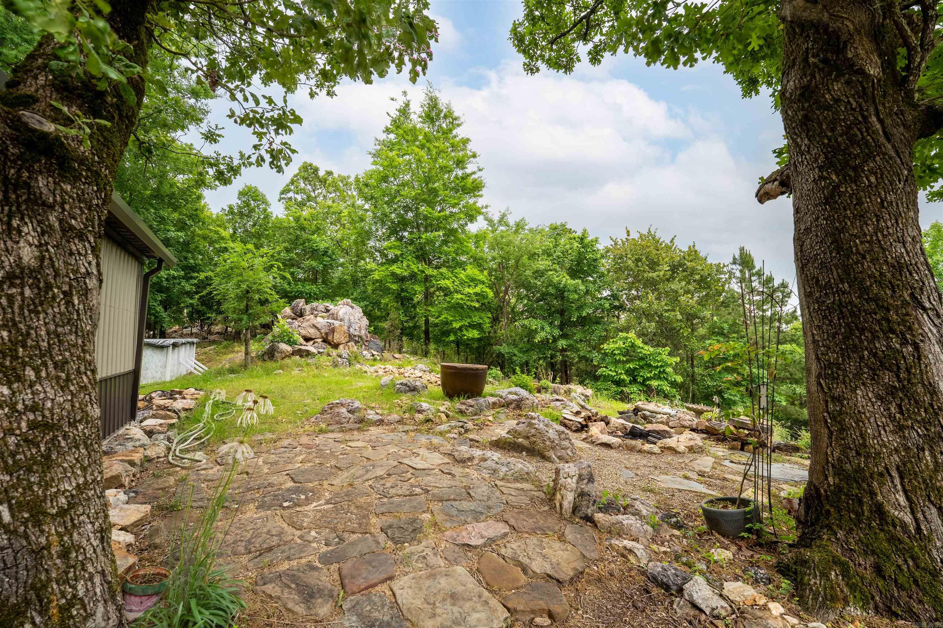 44 Bald Eagle  Paron, AR