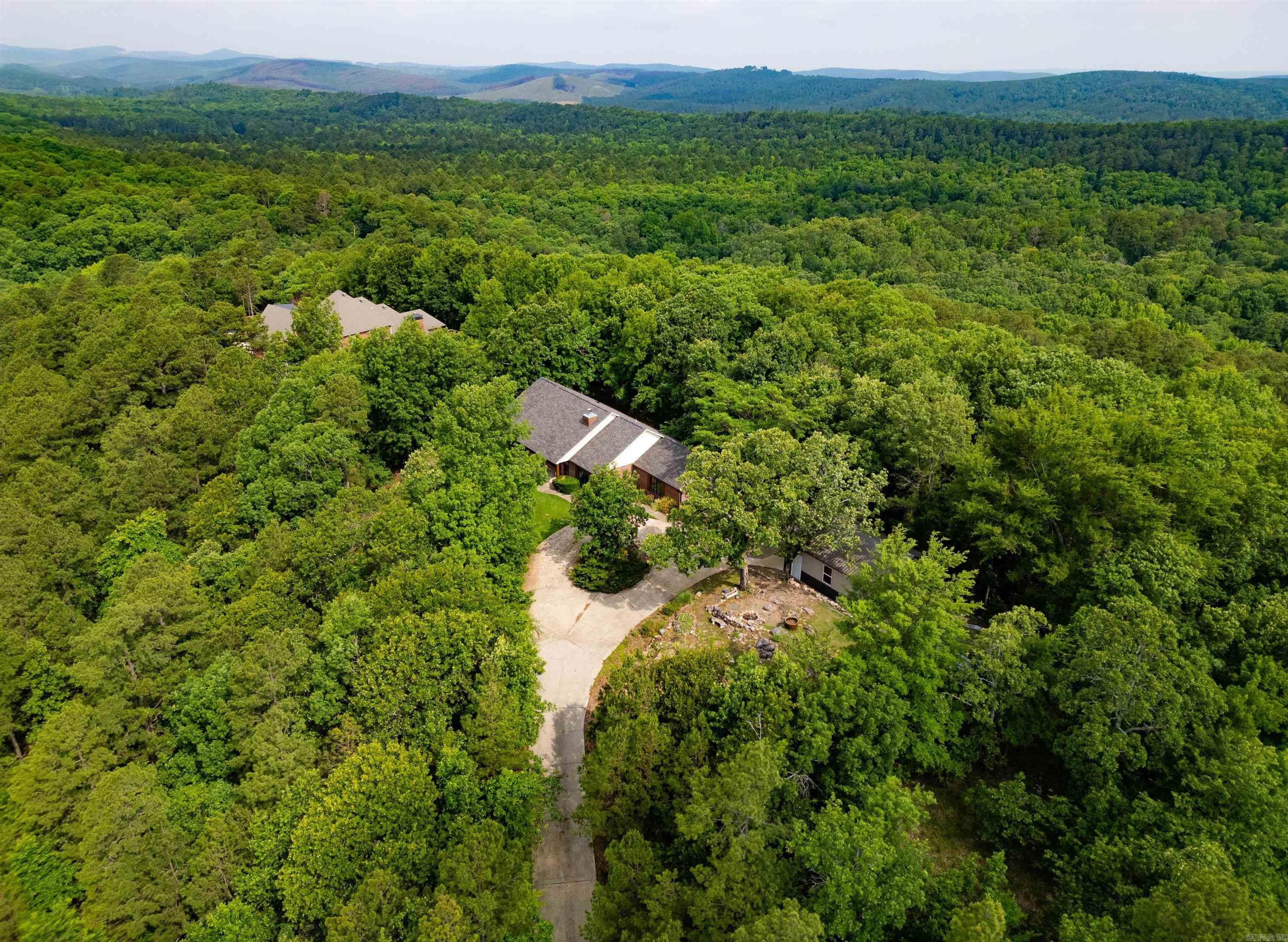 44 Bald Eagle  Paron, AR