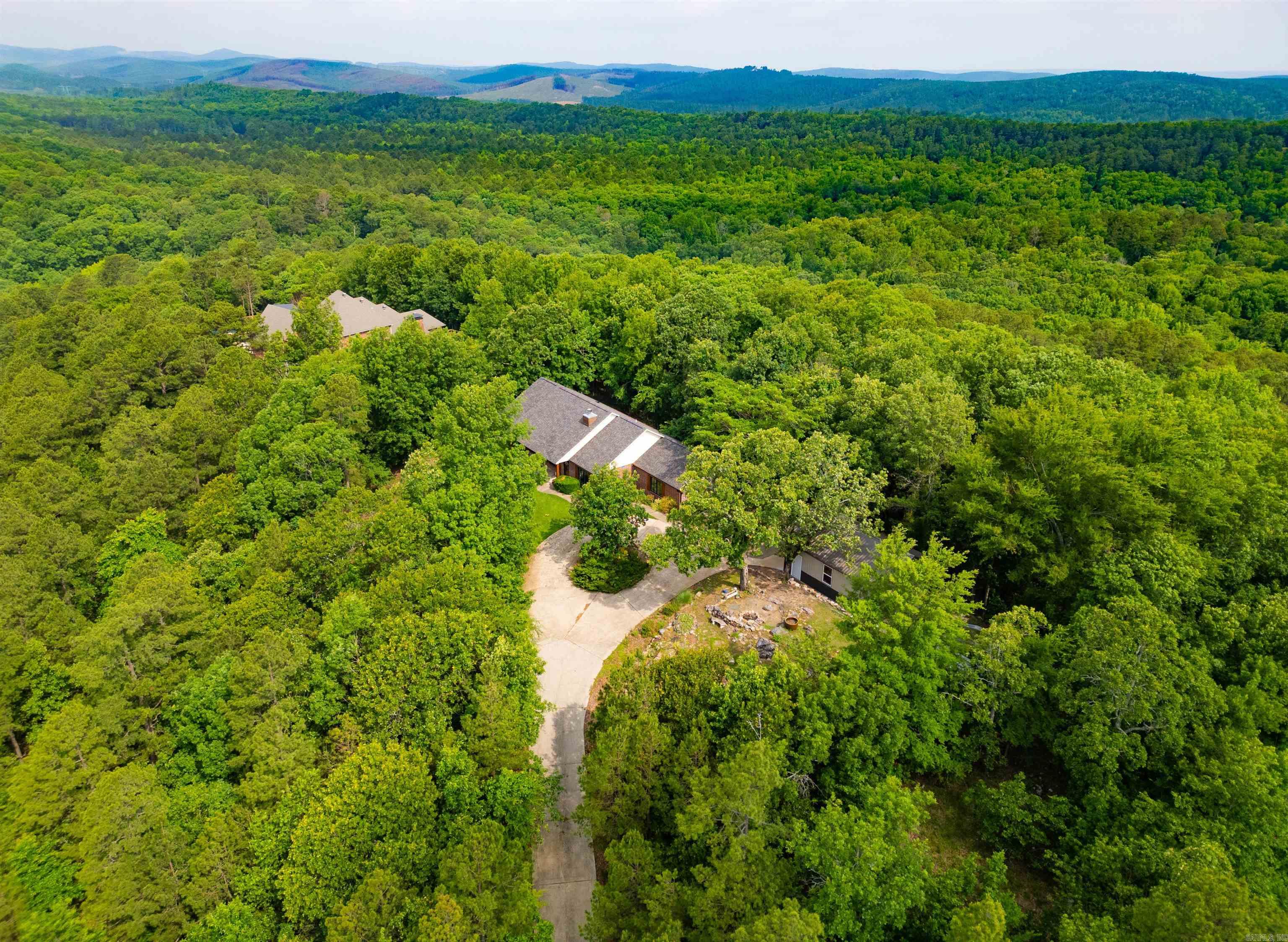 44 Bald Eagle  Paron, AR