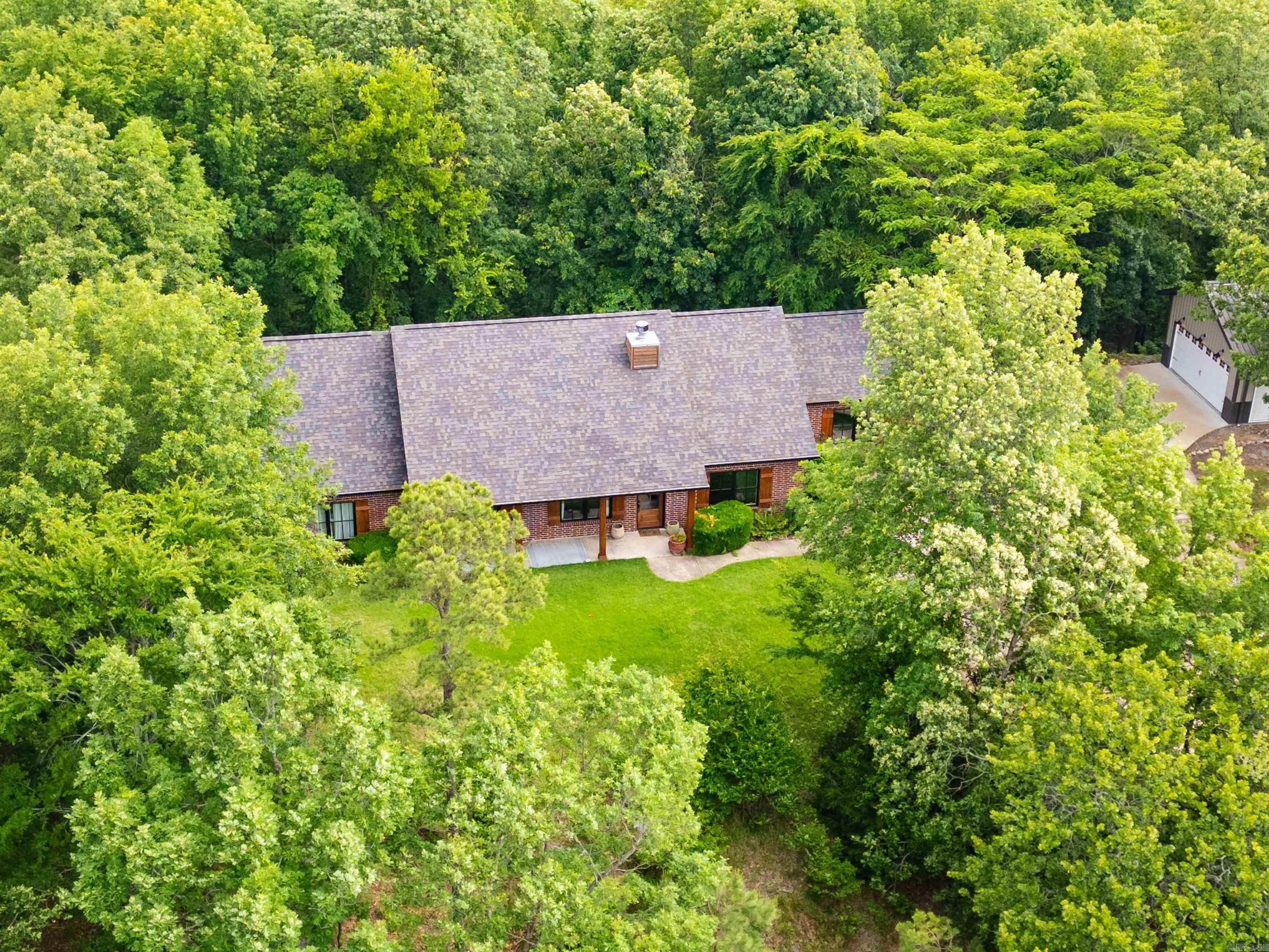 44 Bald Eagle  Paron, AR