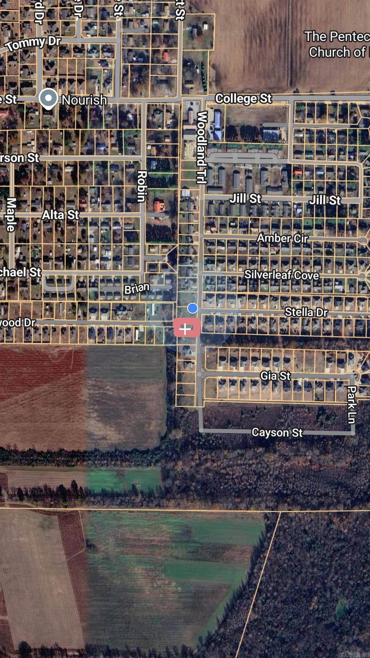 221 woodland trails  Bono, AR