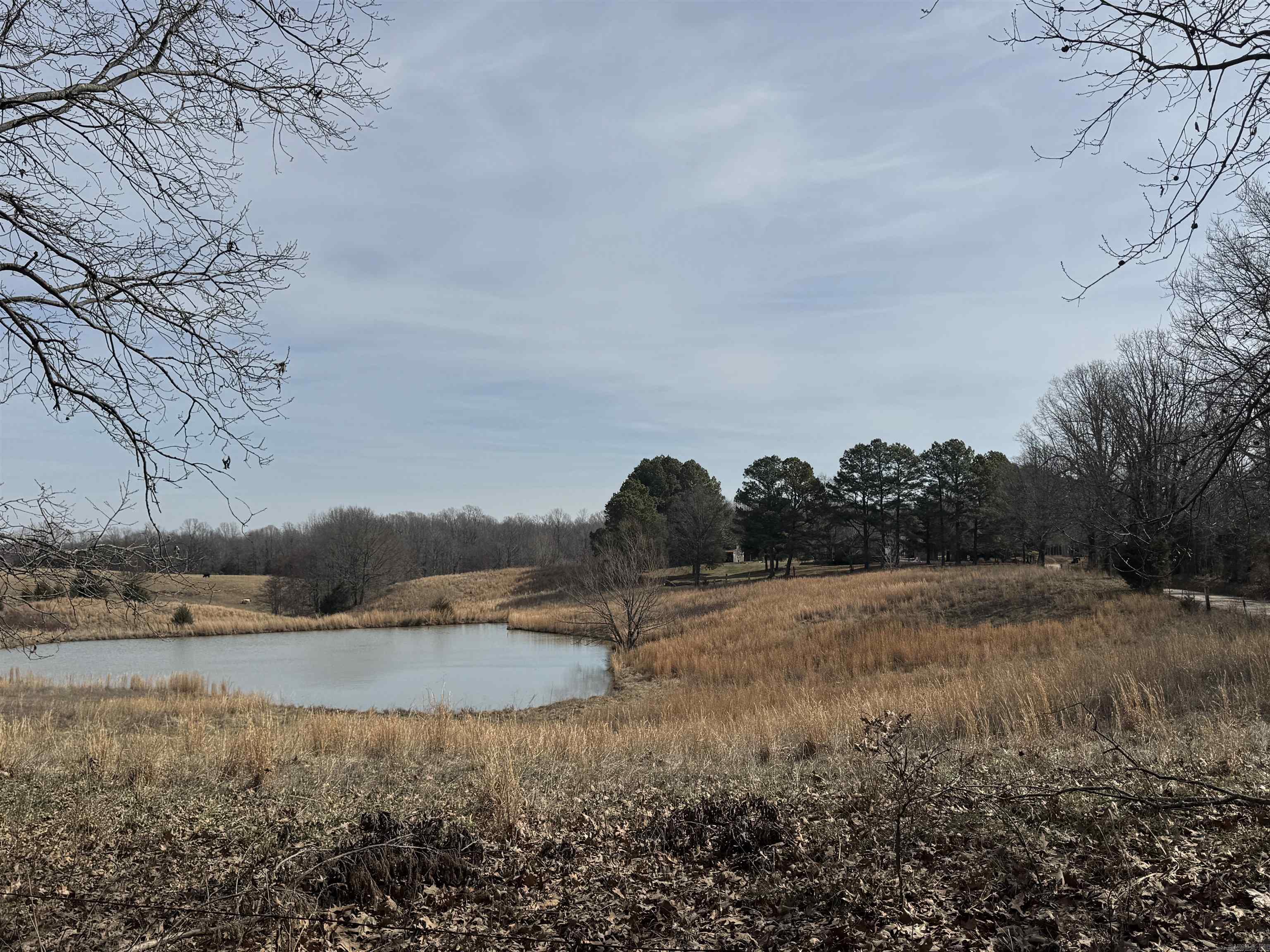 0 Cr 472  Piggott, AR