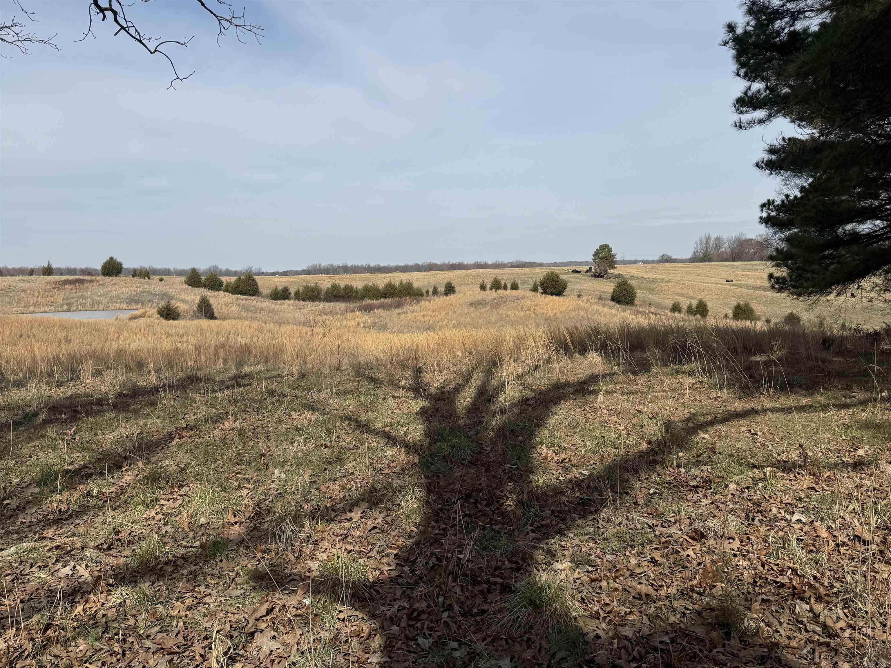 0 Cr 472  Piggott, AR