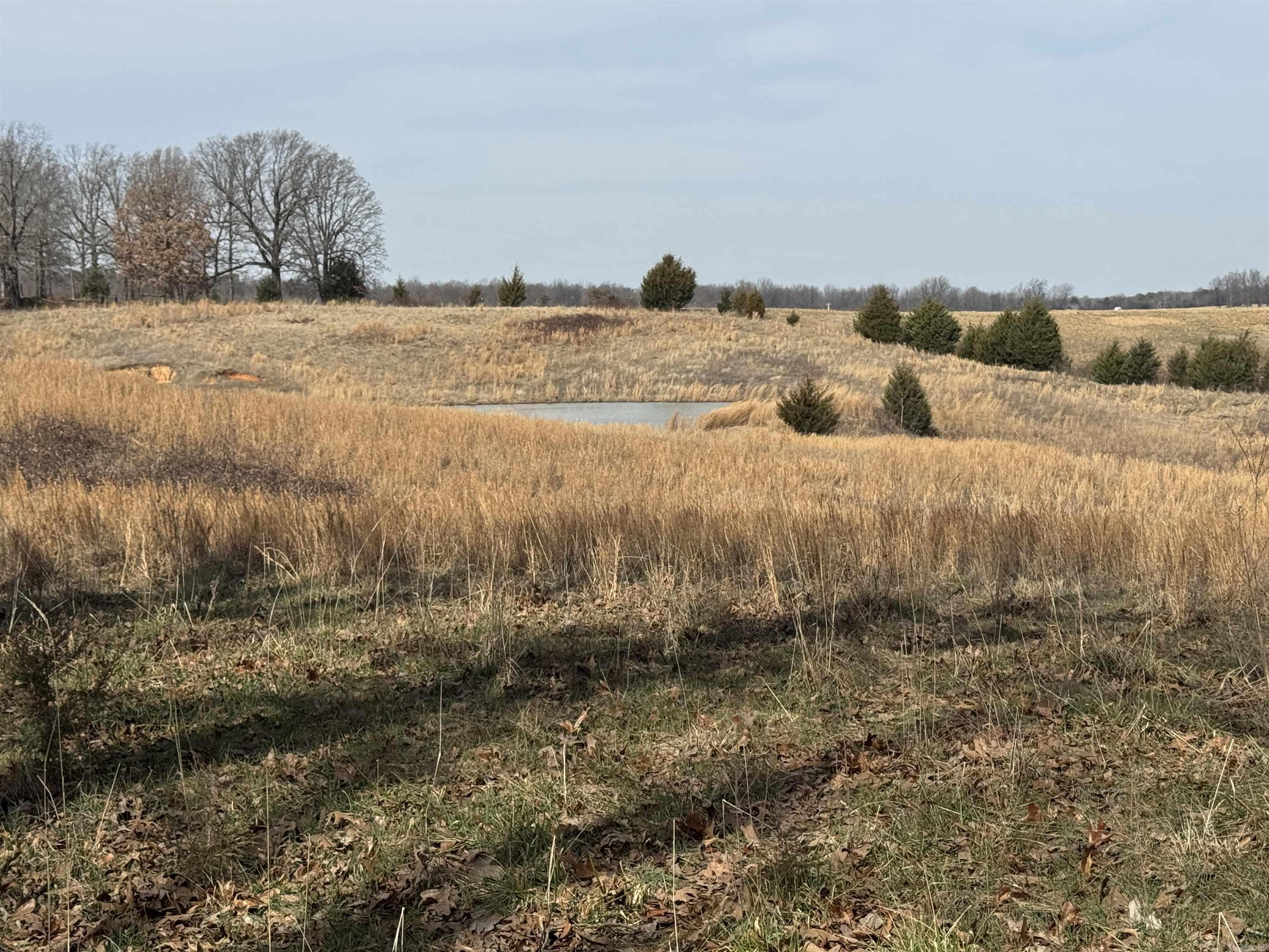 0 Cr 472  Piggott, AR