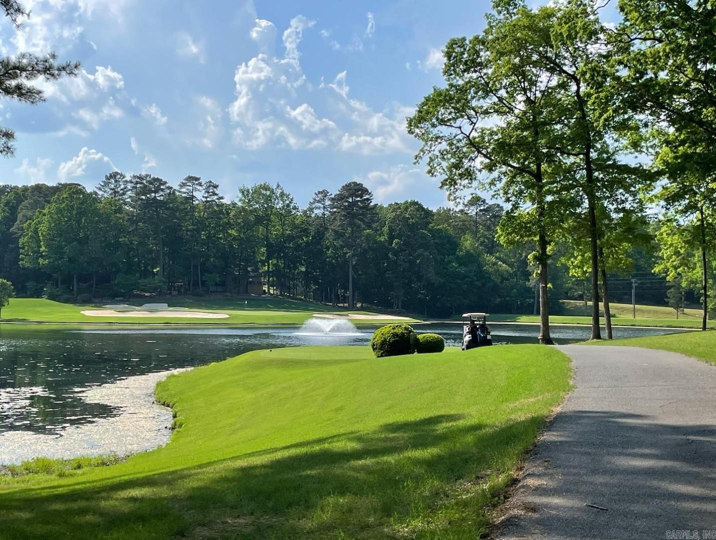 10 Magnifico Way Hot Springs Village, AR 71909