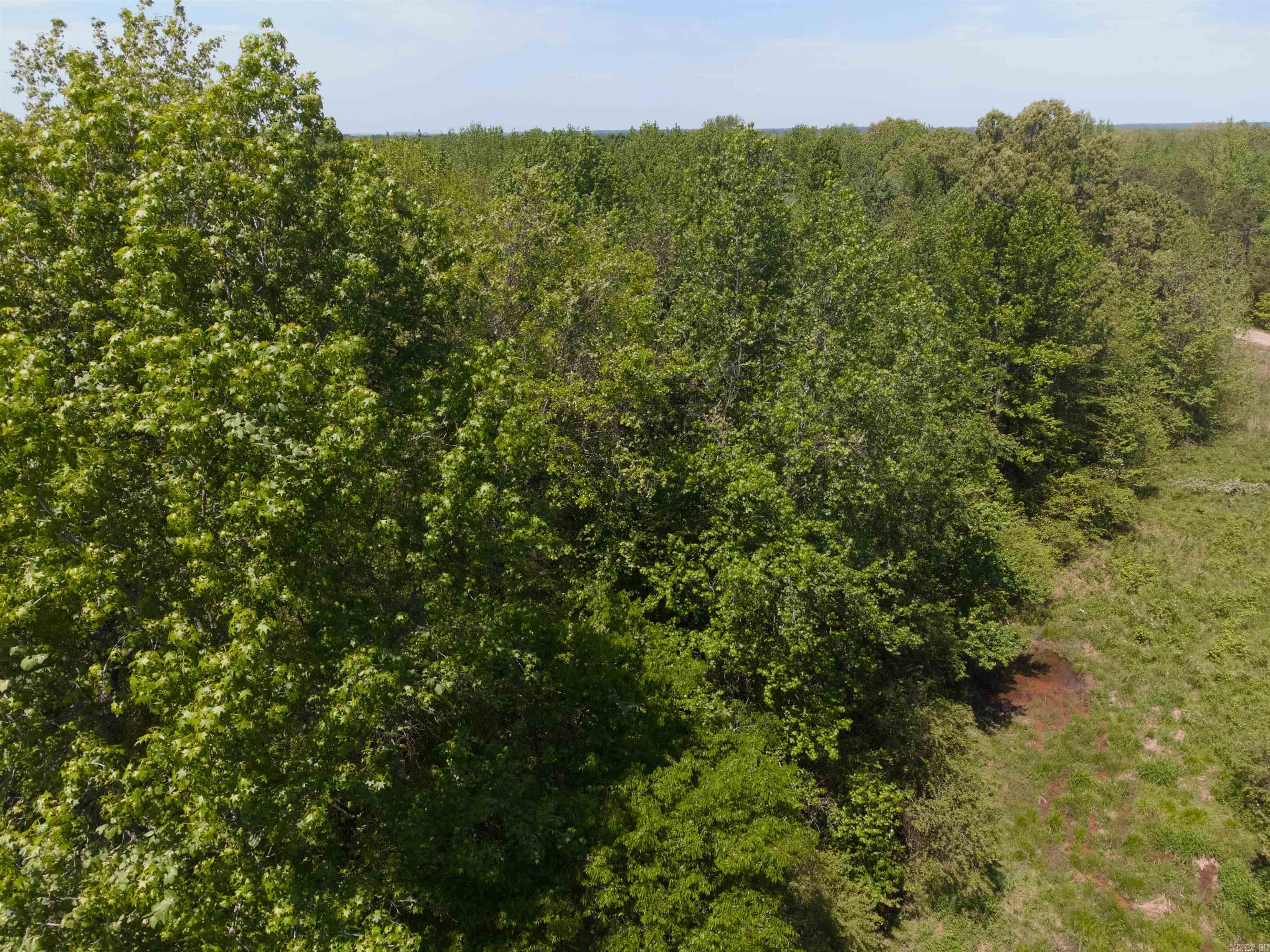 10 Acres off Turner  Rose Bud, AR