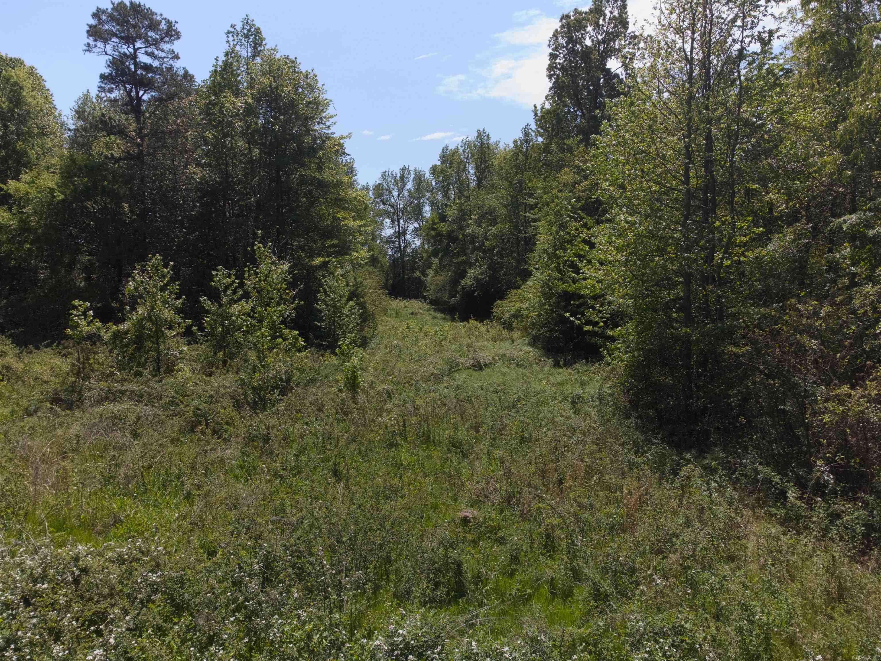 10 Acres off Turner  Rose Bud, AR