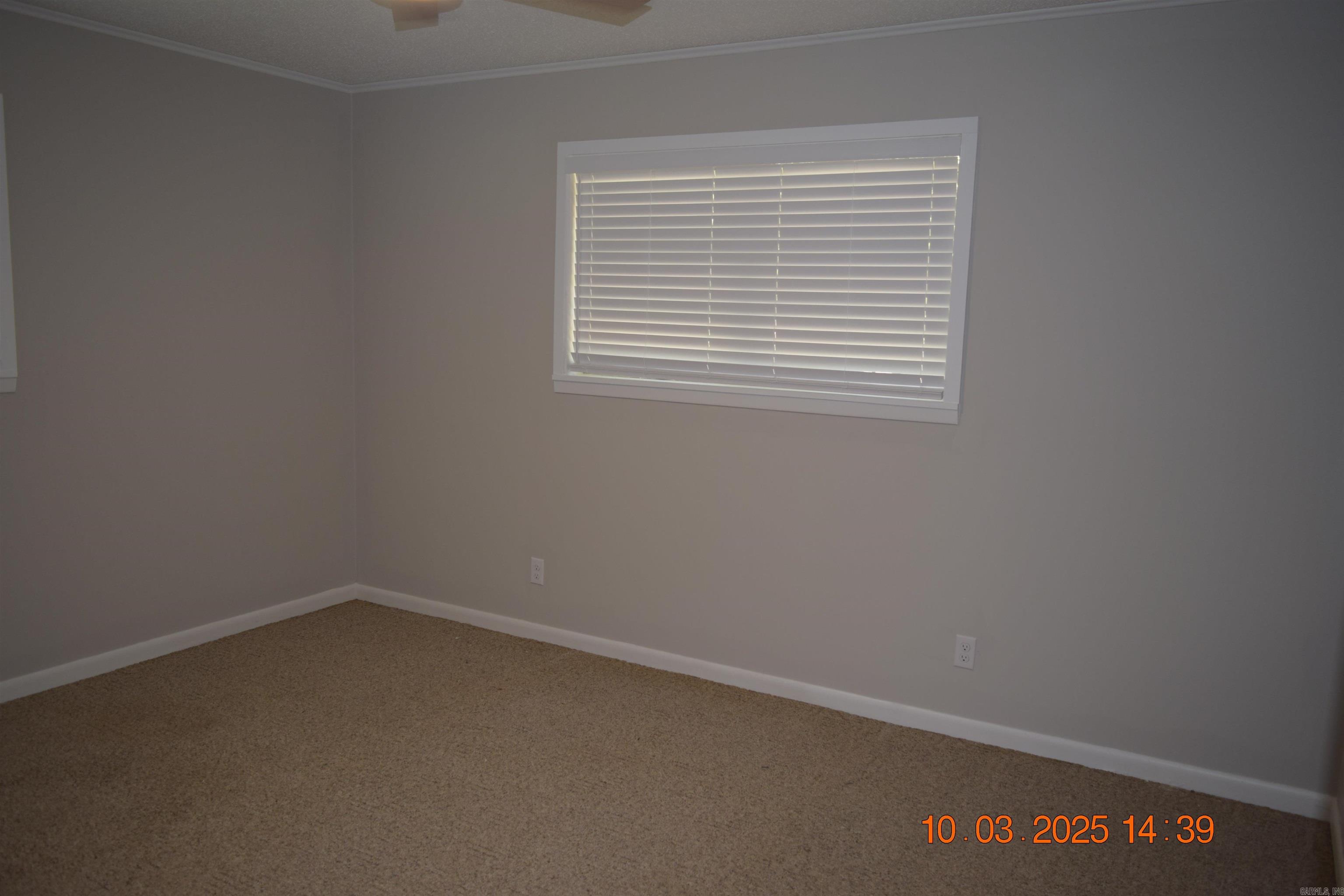 203 Halteria  Hot Springs, AR