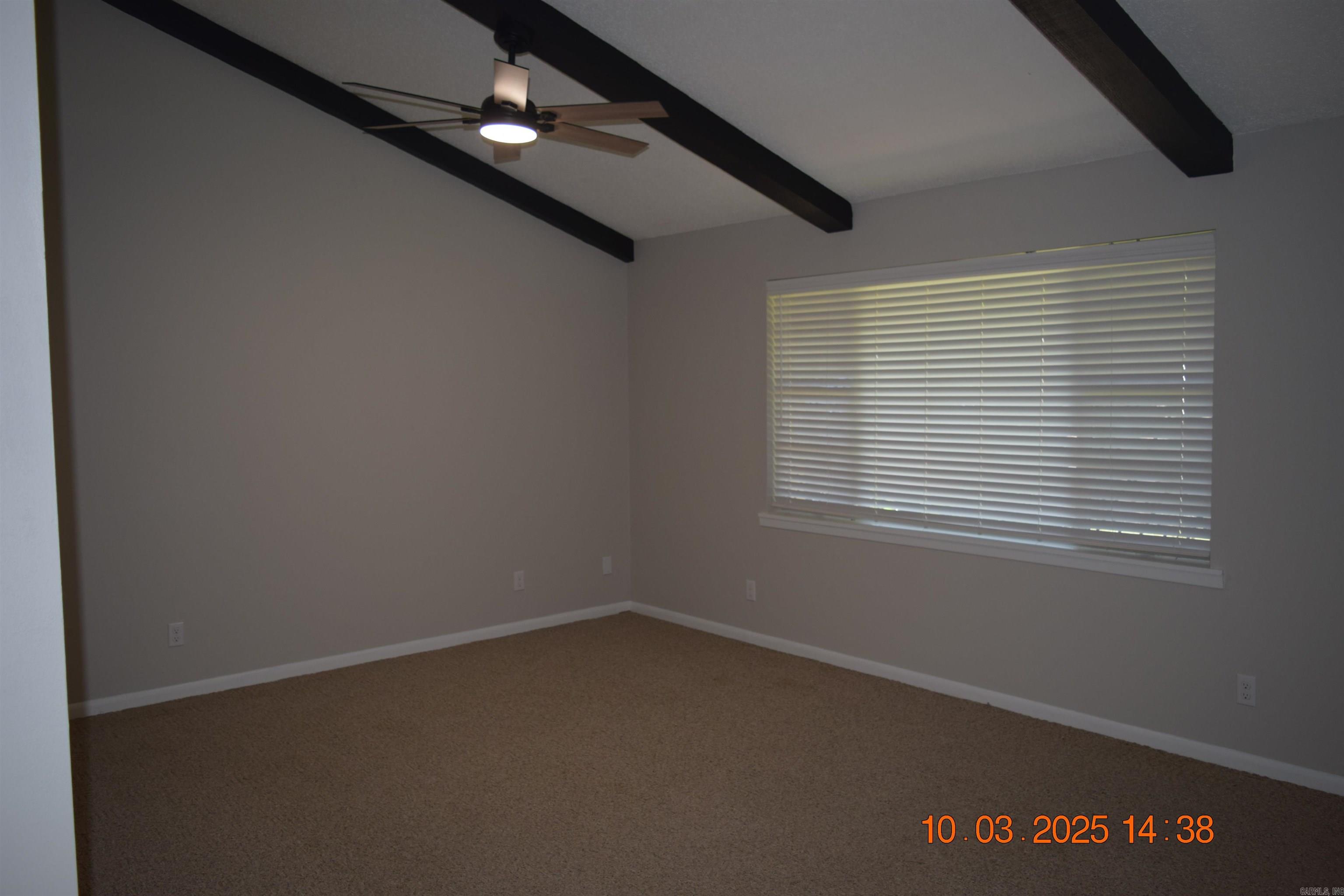 203 Halteria  Hot Springs, AR