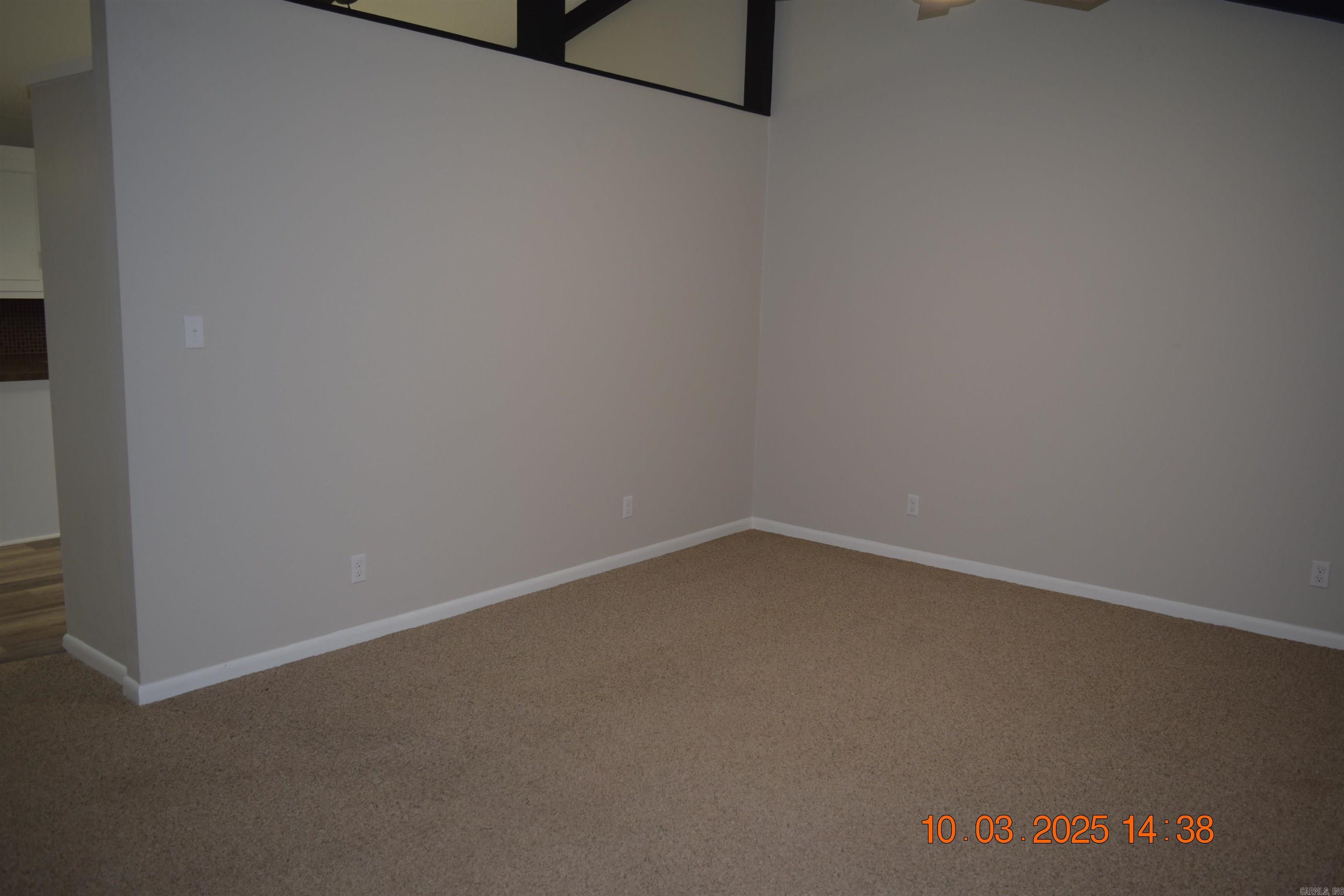 203 Halteria  Hot Springs, AR