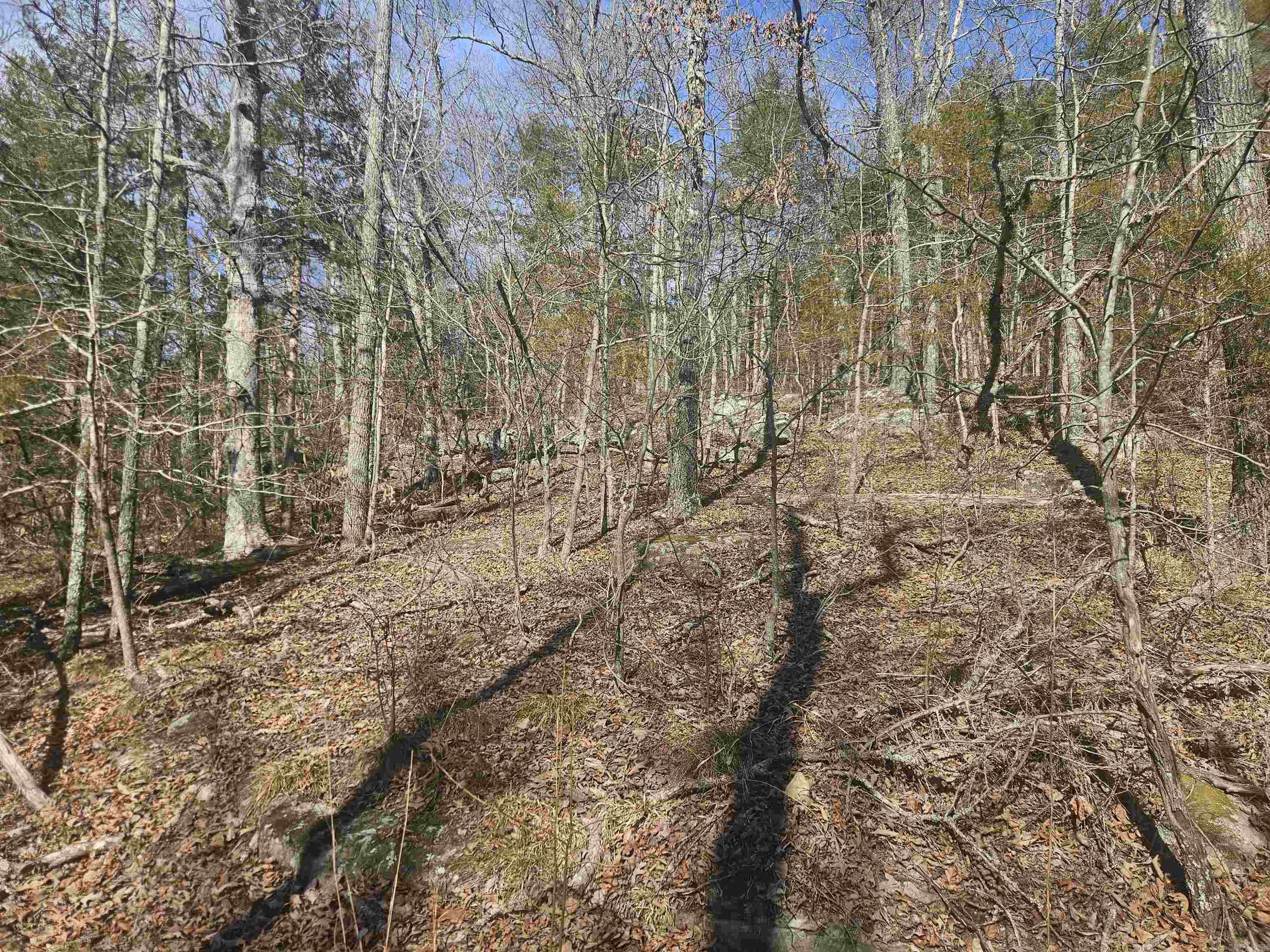 000 Fawn Road Big Flat, AR 72617