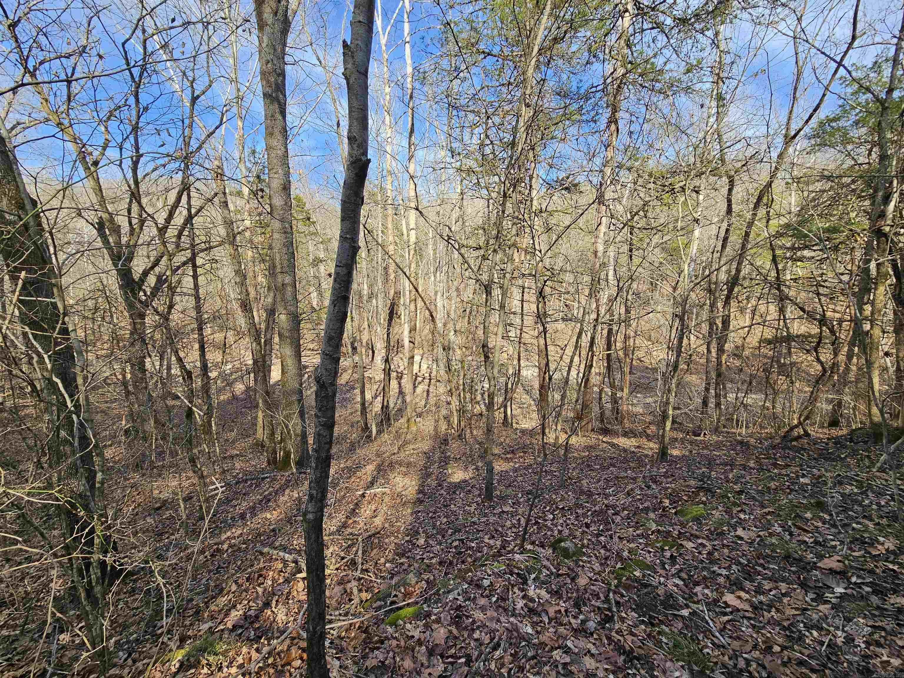 000 Fawn Road Big Flat, AR 72617