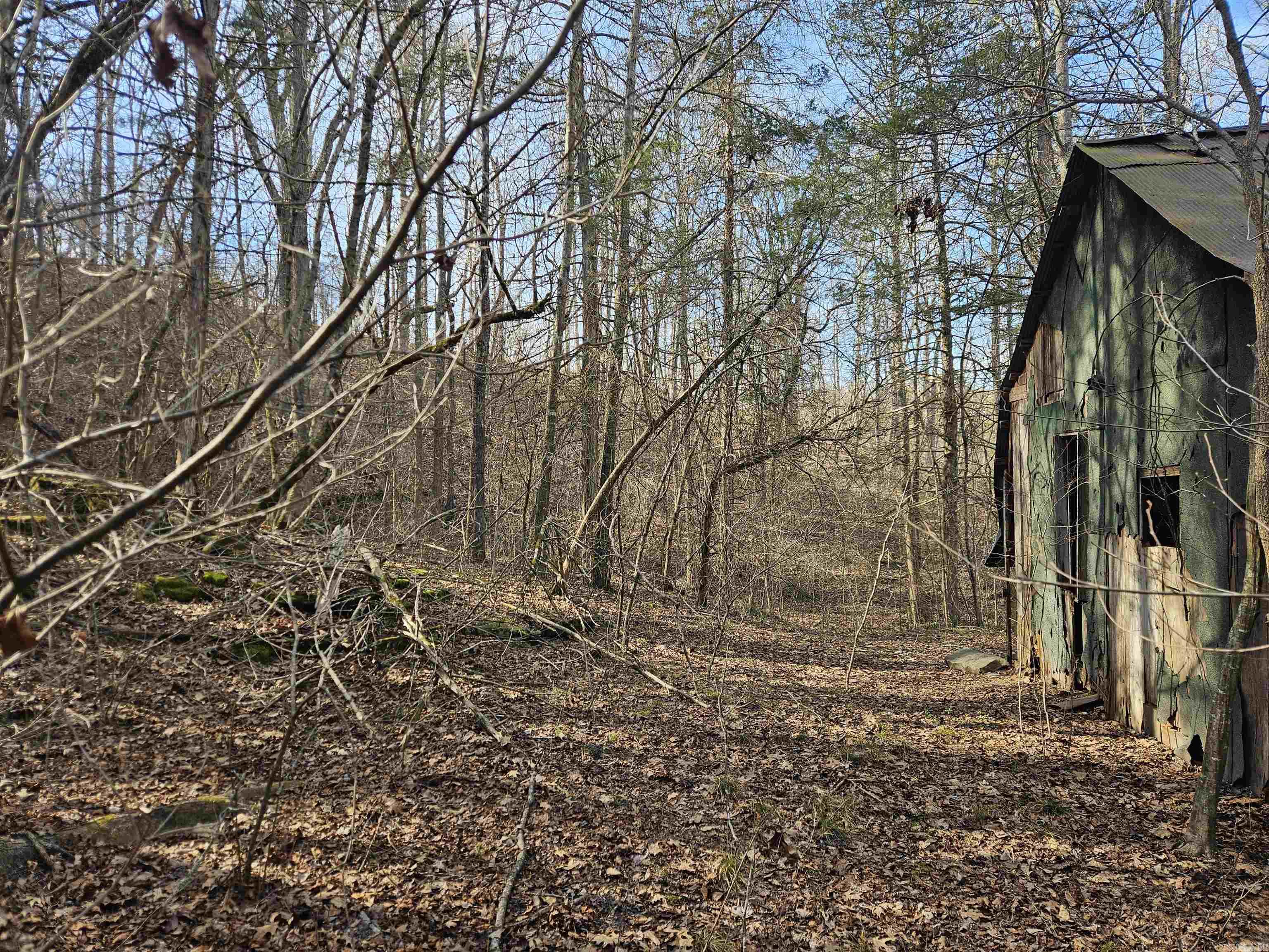 000 Fawn Road Big Flat, AR 72617