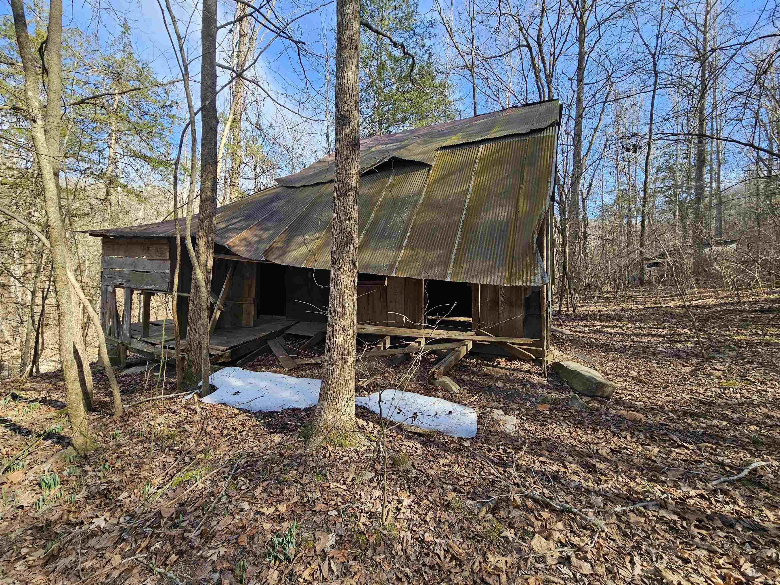 000 Fawn Road Big Flat, AR 72617