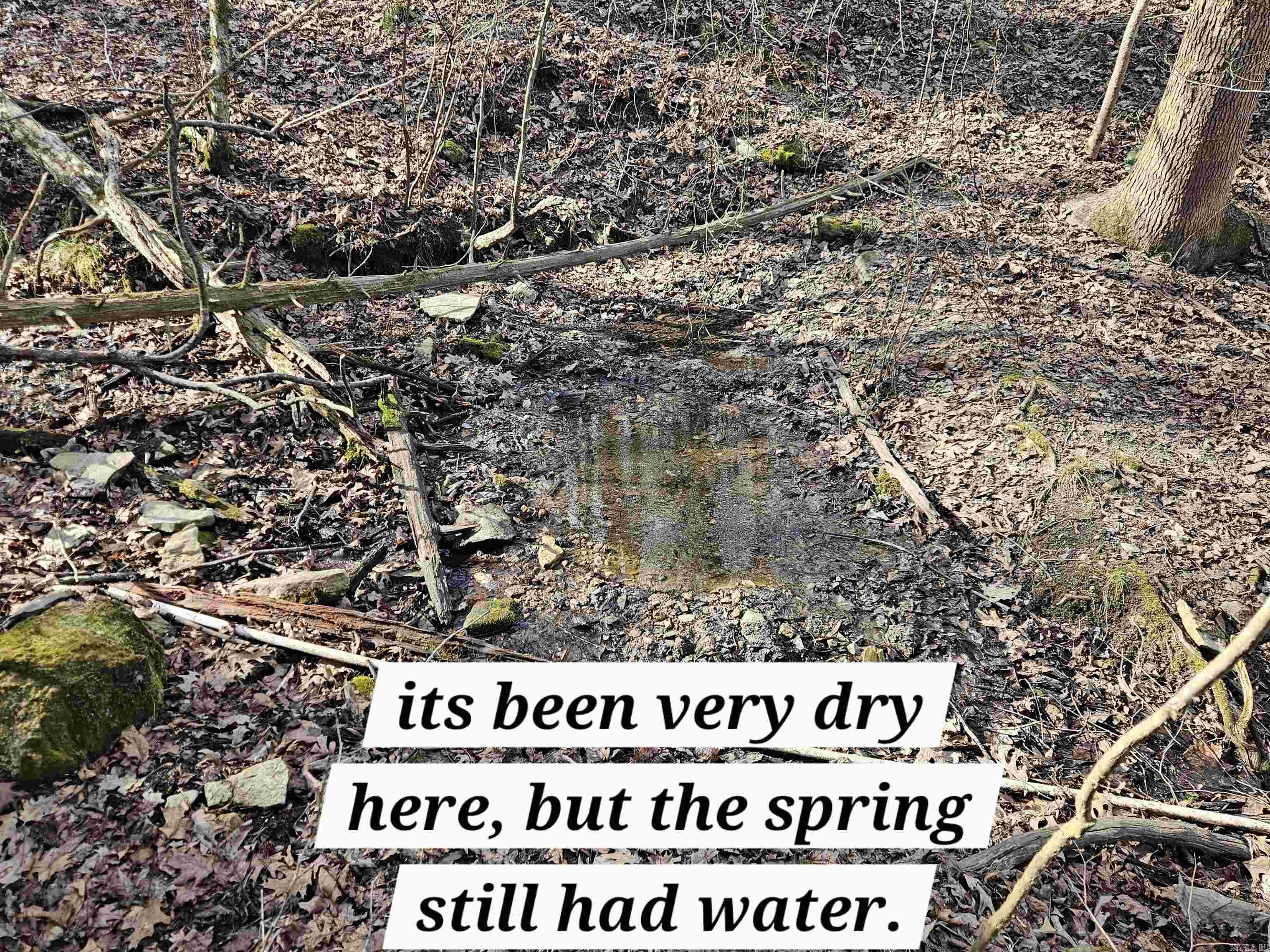 000 Fawn Road Big Flat, AR 72617