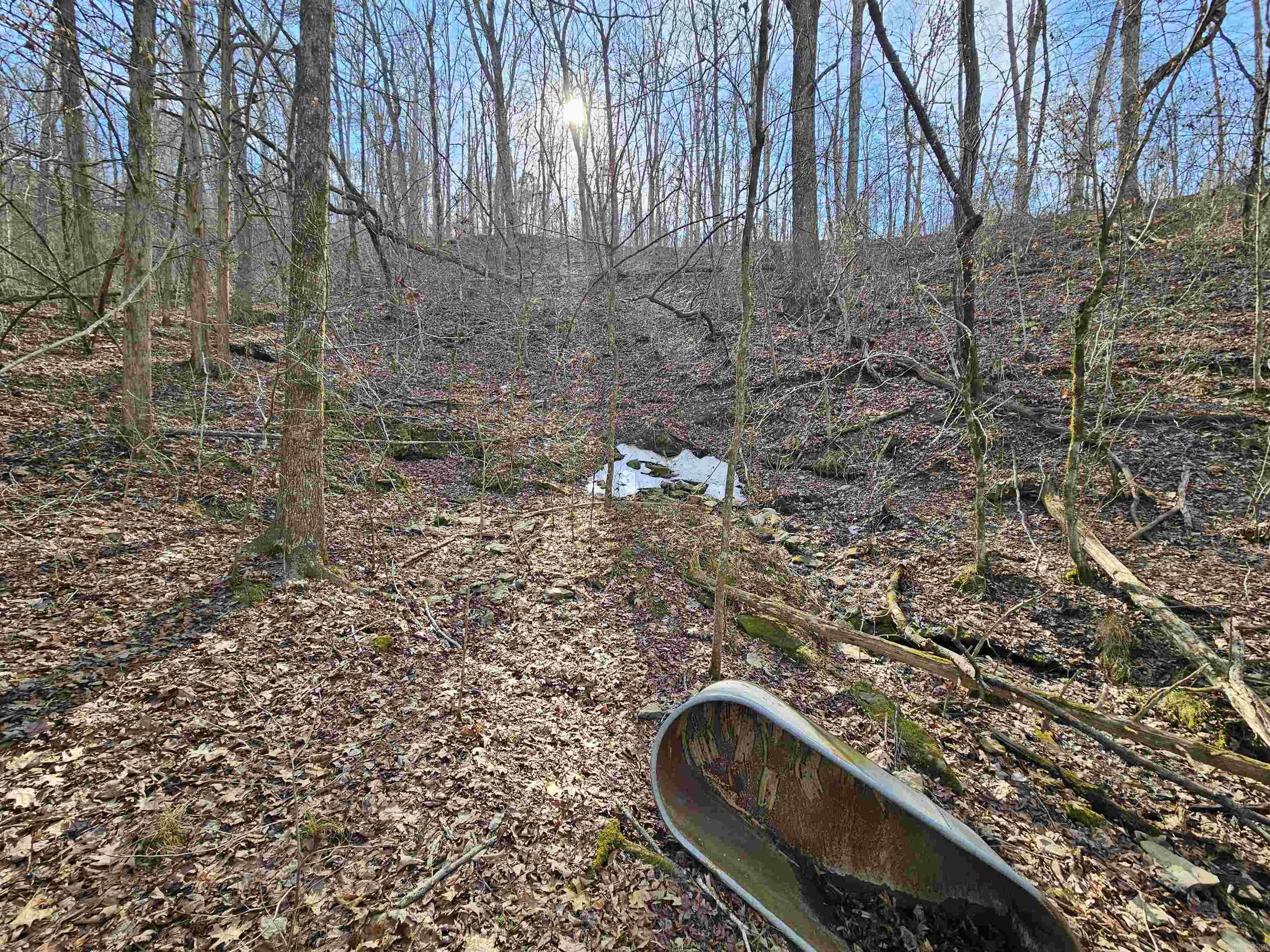 000 Fawn Road Big Flat, AR 72617