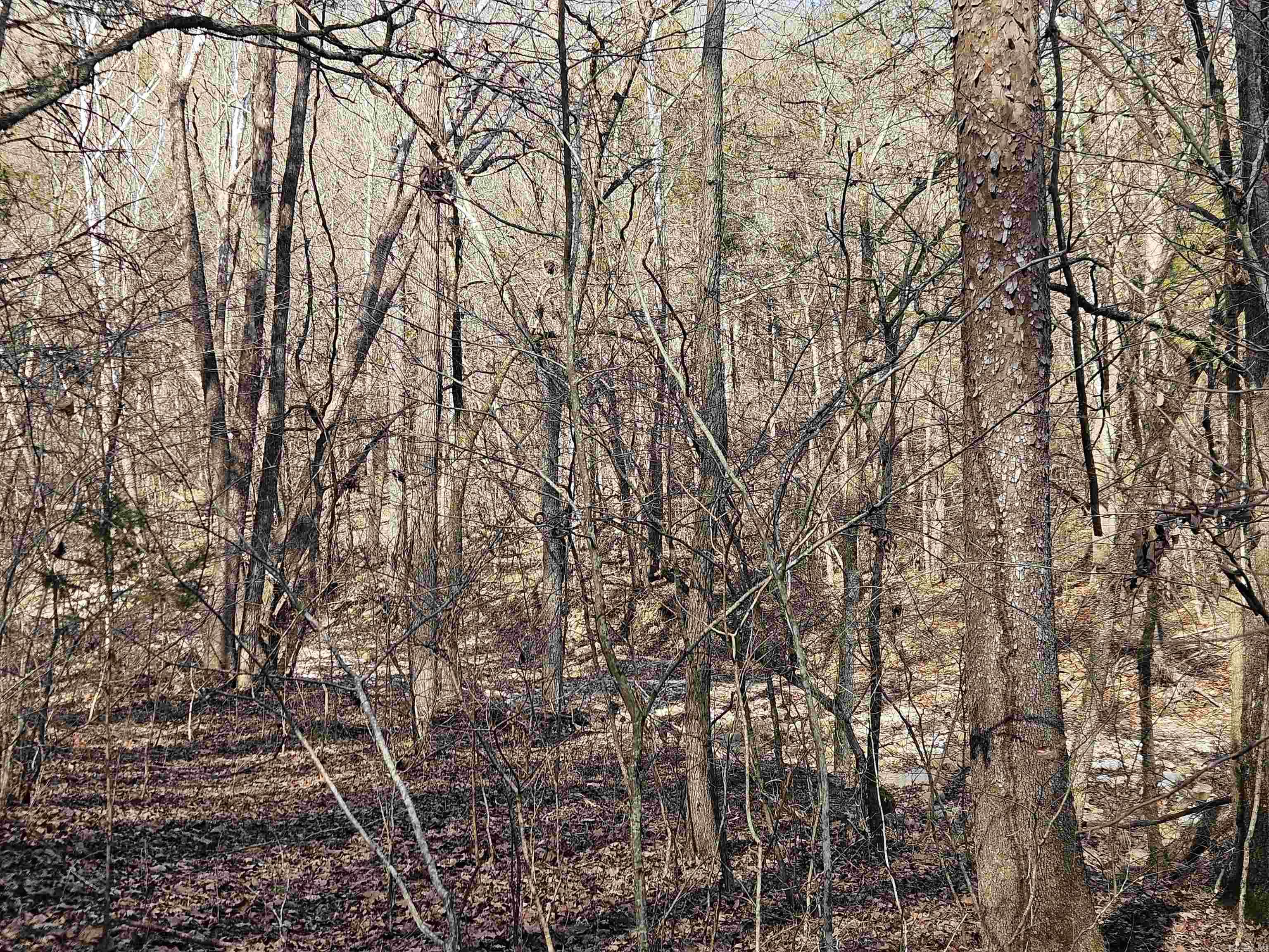 000 Fawn Road Big Flat, AR 72617