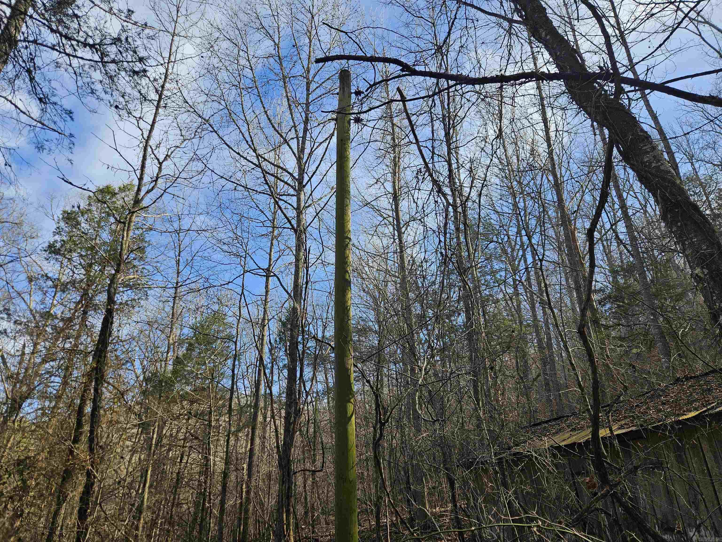 000 Fawn Road Big Flat, AR 72617