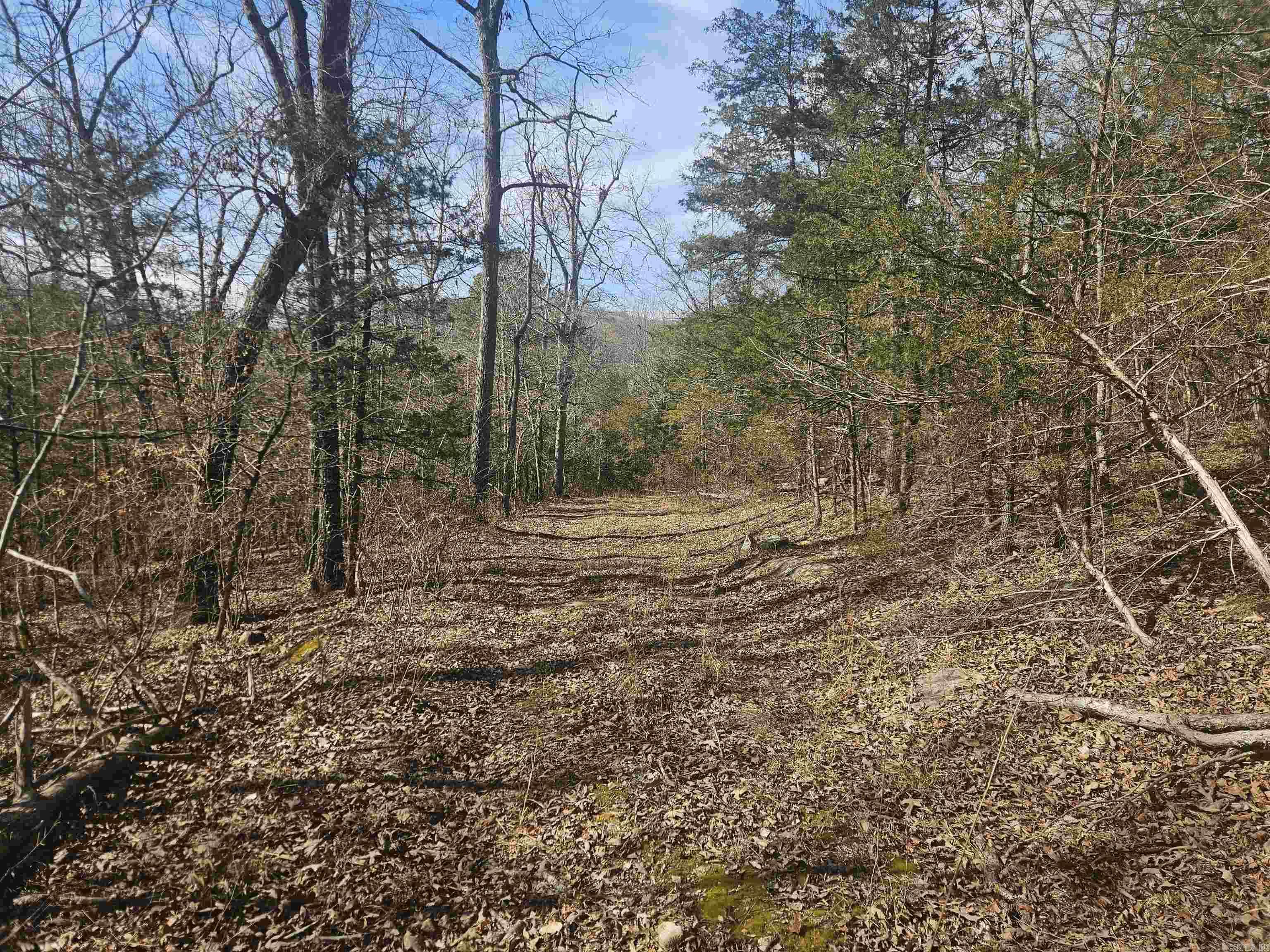000 Fawn Road Big Flat, AR 72617