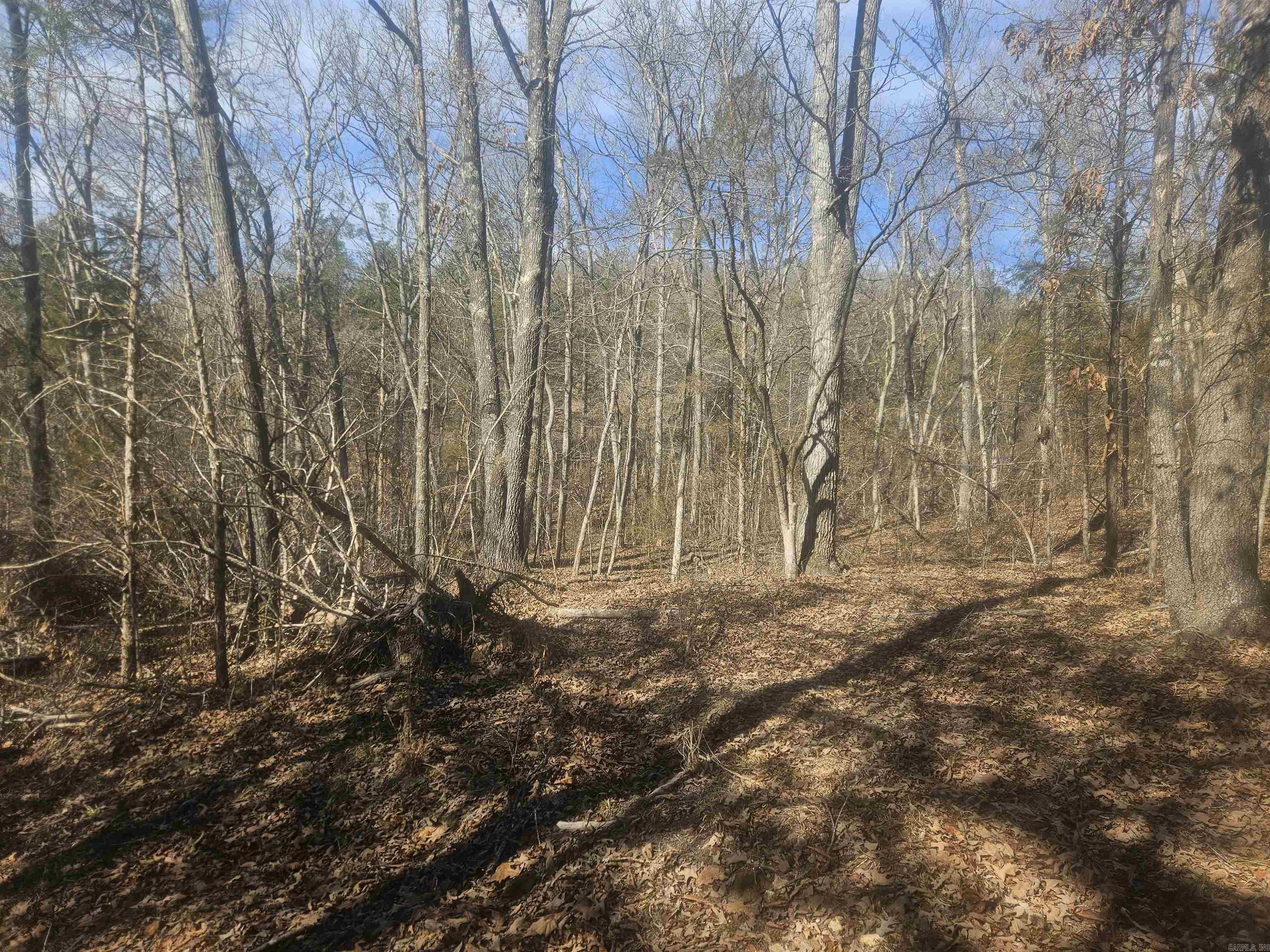 000 Fawn Road Big Flat, AR 72617