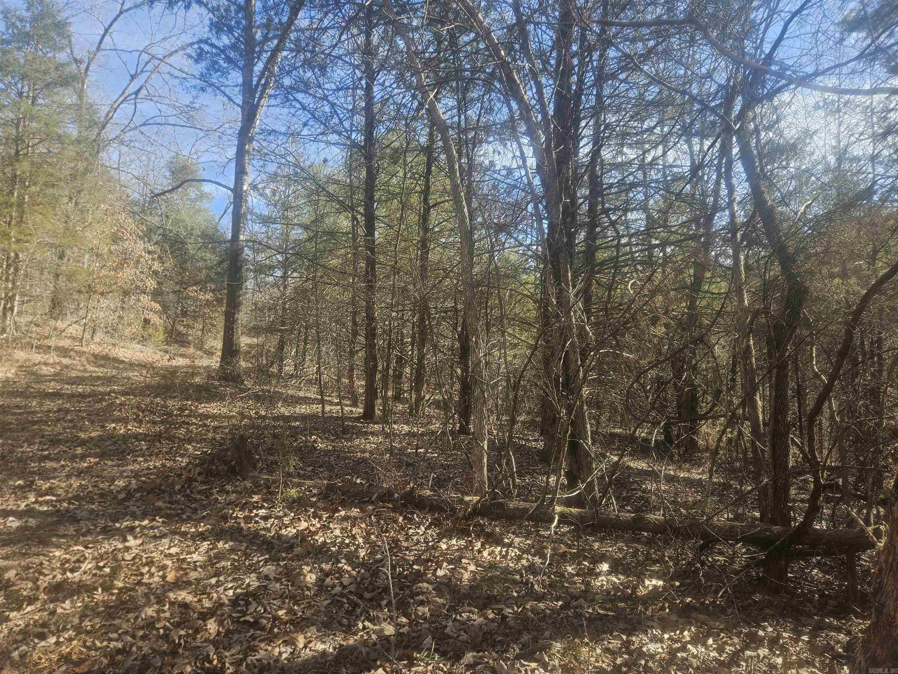 000 Fawn Road Big Flat, AR 72617