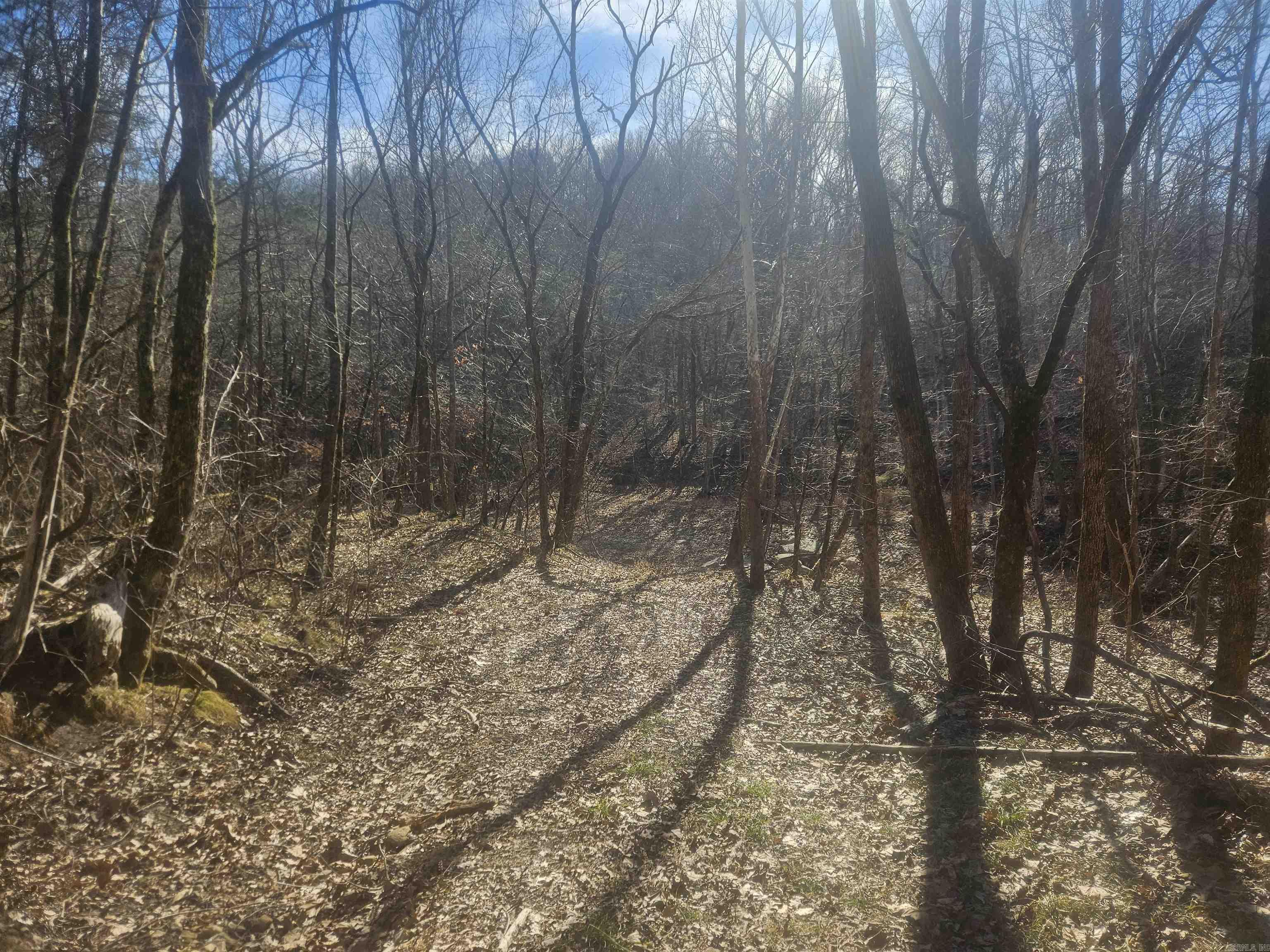 000 Fawn Road Big Flat, AR 72617